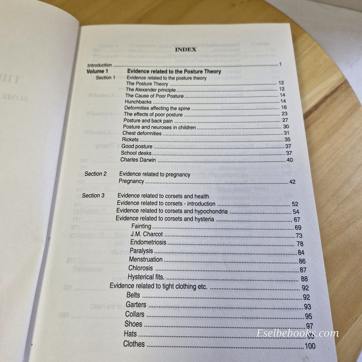 The Posture Theory Some Additional Considerations By M. A. Banfield · 1994 - ...