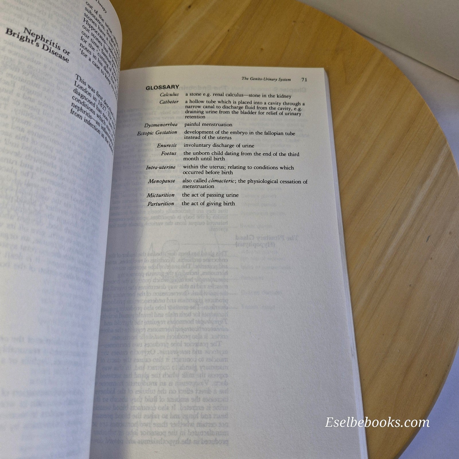 The Principles and Practice of Physical Therapy by W E Arnould-Taylor 1982