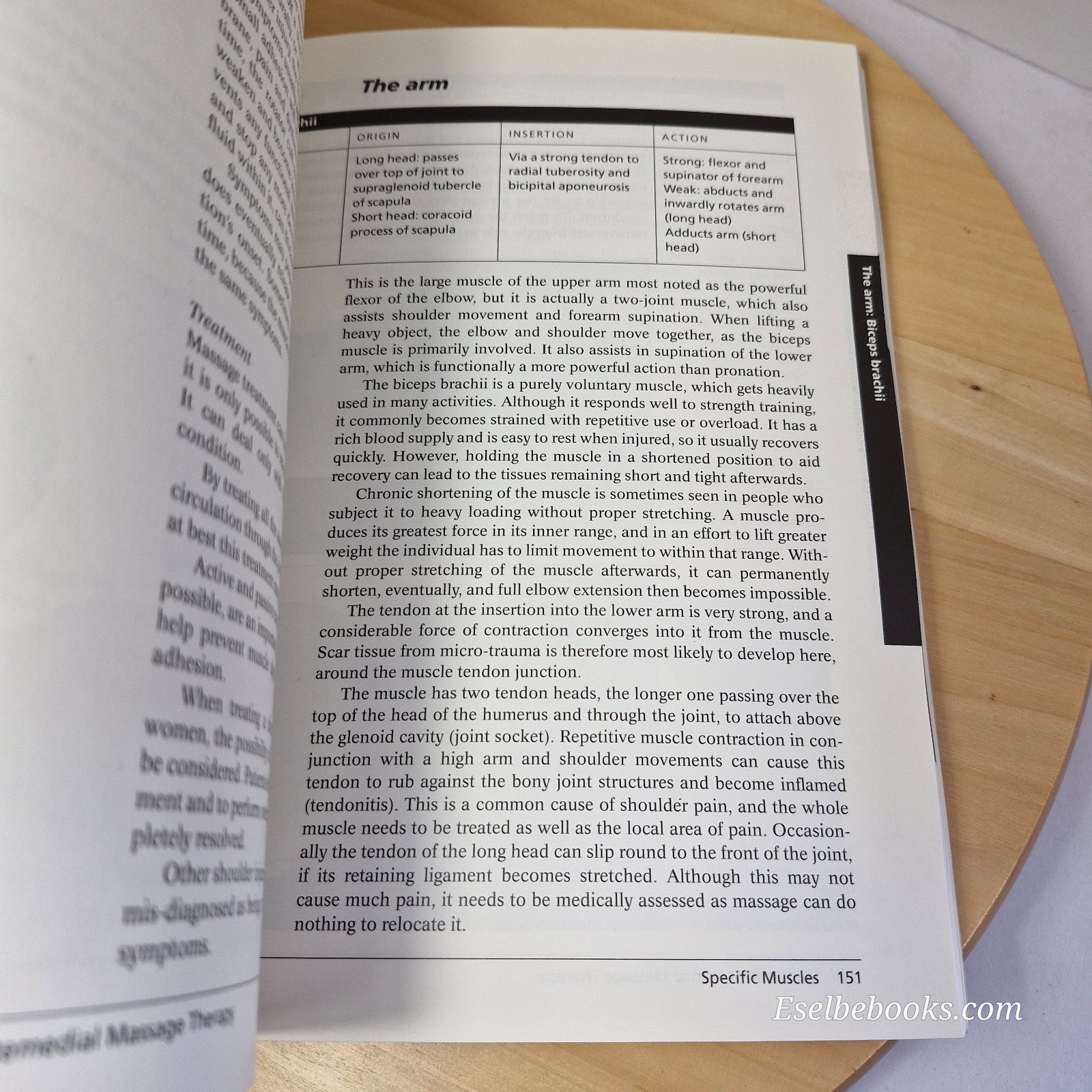 Sports And Remedial Massage Therapy by Mel Cash - Paperback