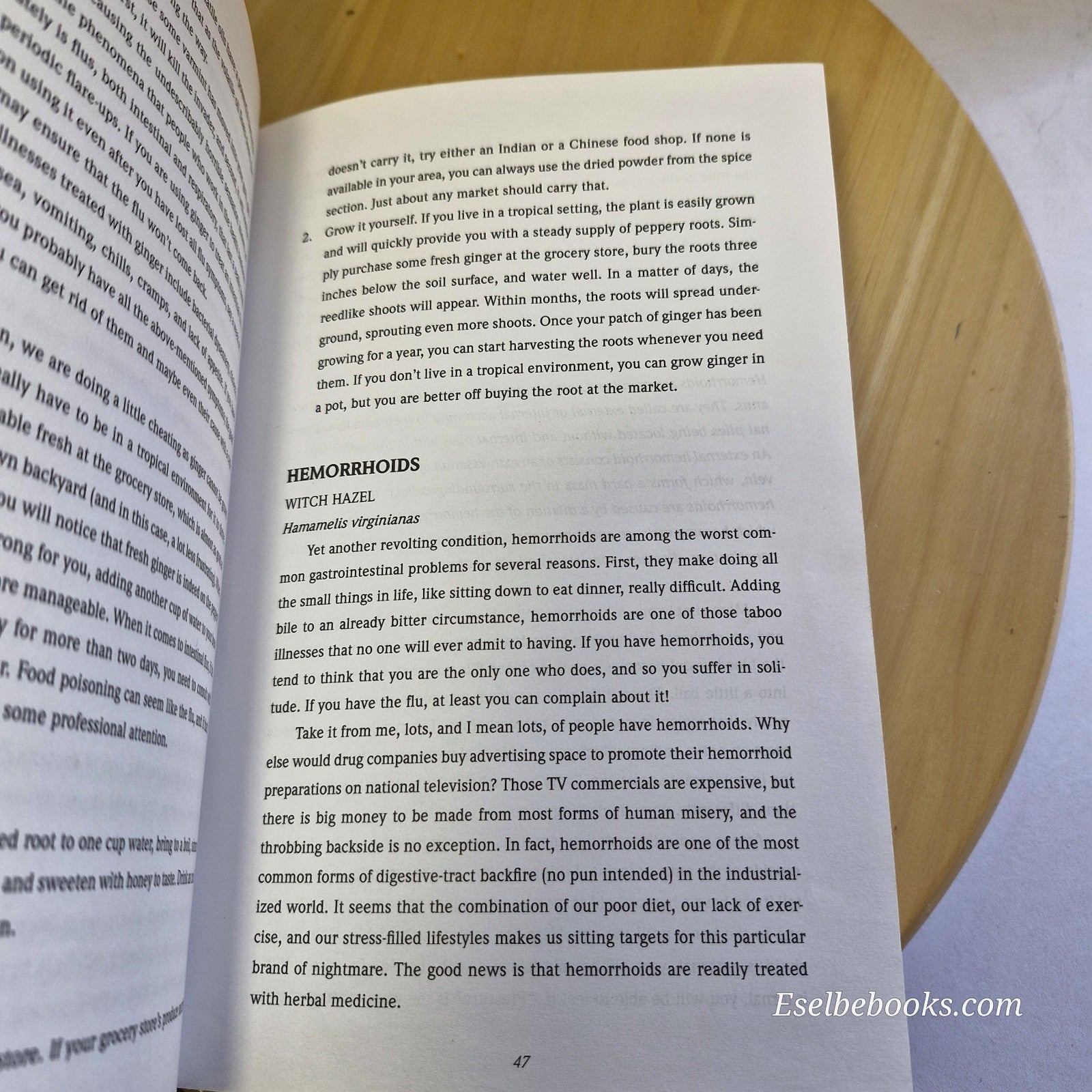The Backyard Medicine Chest An Herbal Primer By Douglas Schar · 1995