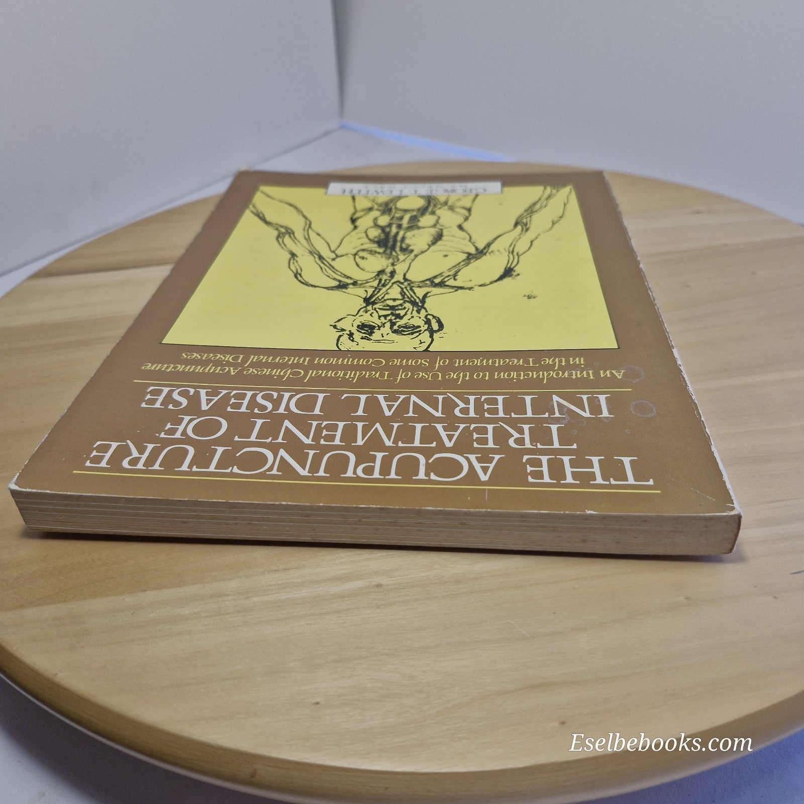 The Acupuncture Treatment of Internal Disease by George T Lewith - paperback