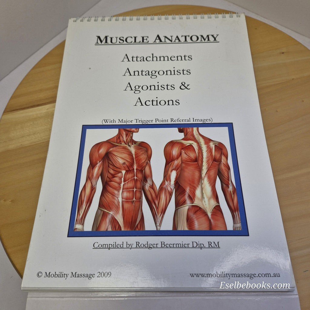 Muscle anatomy - attachments antagonists agonists & actions table top flip chart