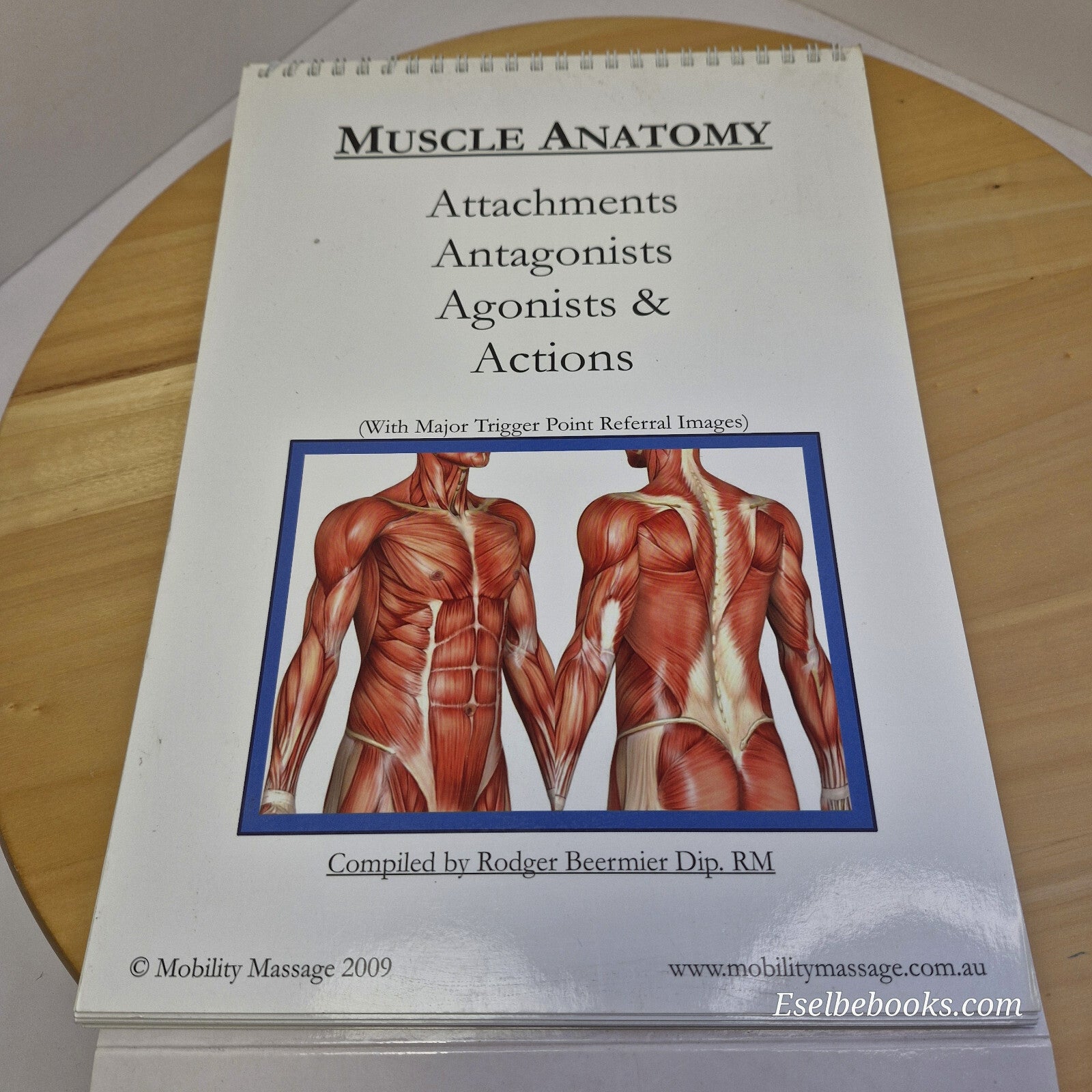 Muscle anatomy - attachments antagonists agonists & actions table top flip chart