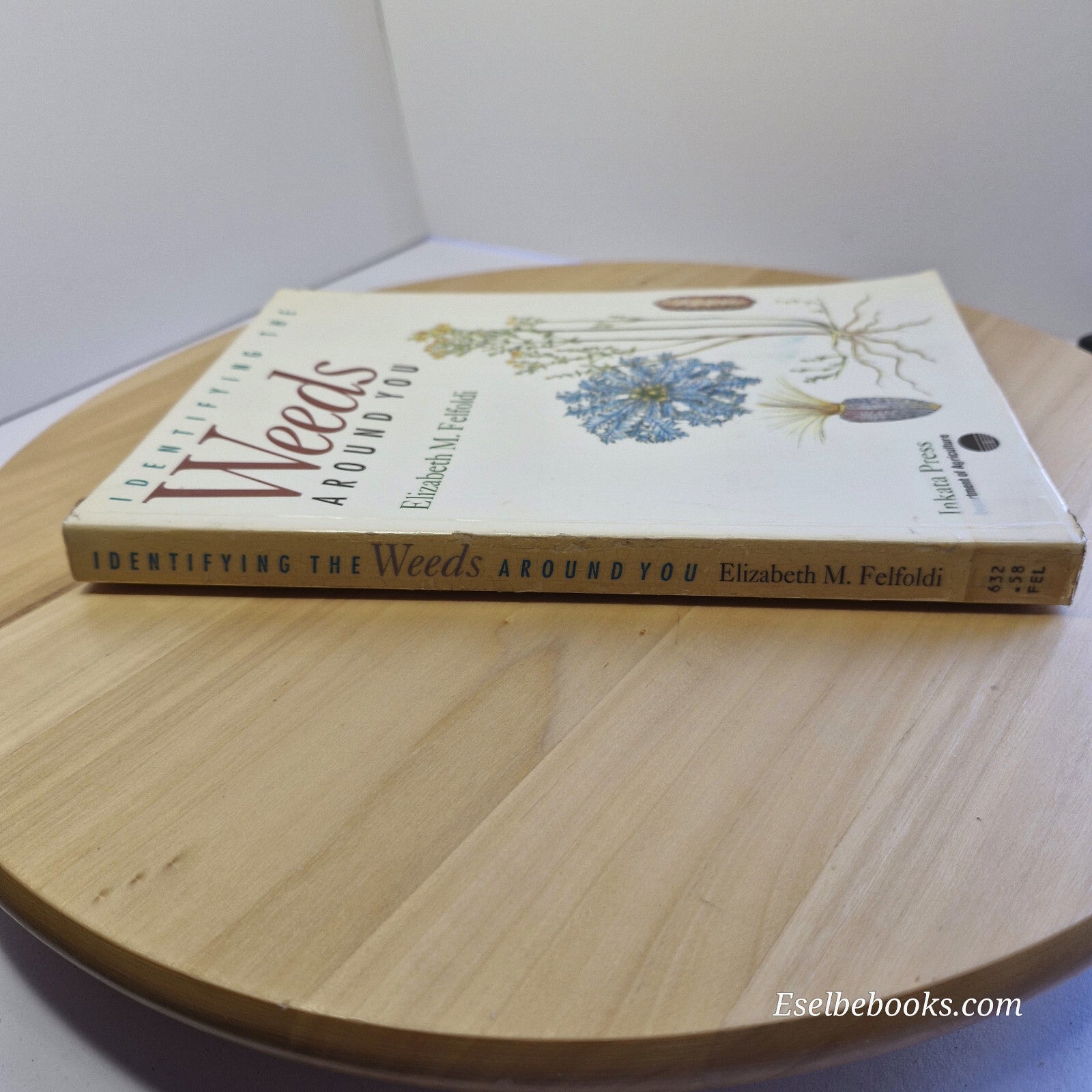 Identifying the Weeds Around You By Elizabeth Maria Felfoldi · 1993 - paperback