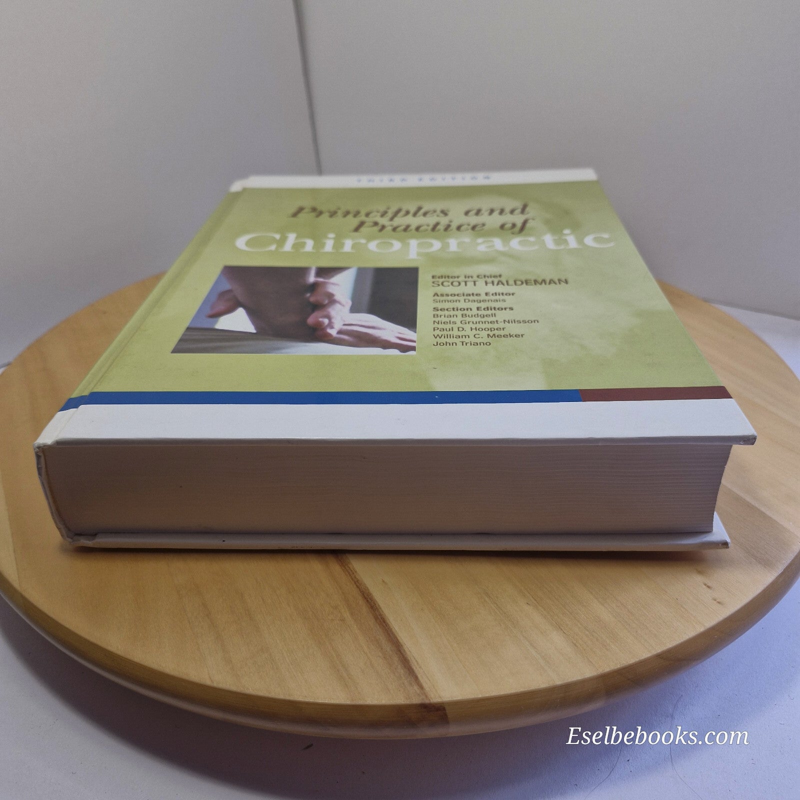 Principles and Practice of Chiropractic, Third Edition 2005 - hardback