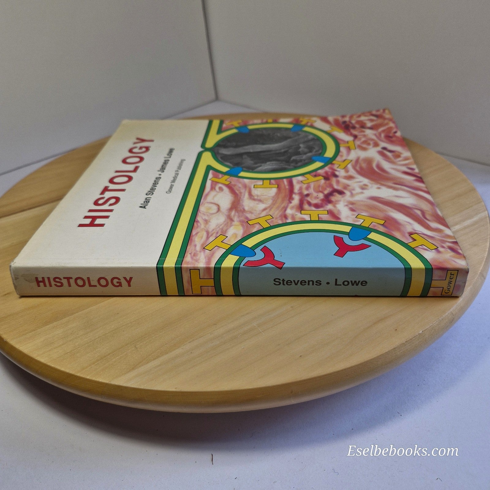 Histology by Alan Stevens & James Lowe - paperback