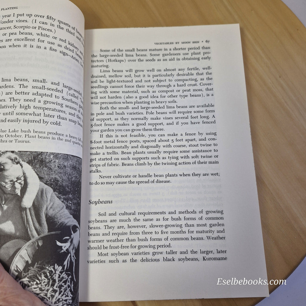 Planetary Planting By Louise Riotte · 1982 - paperback