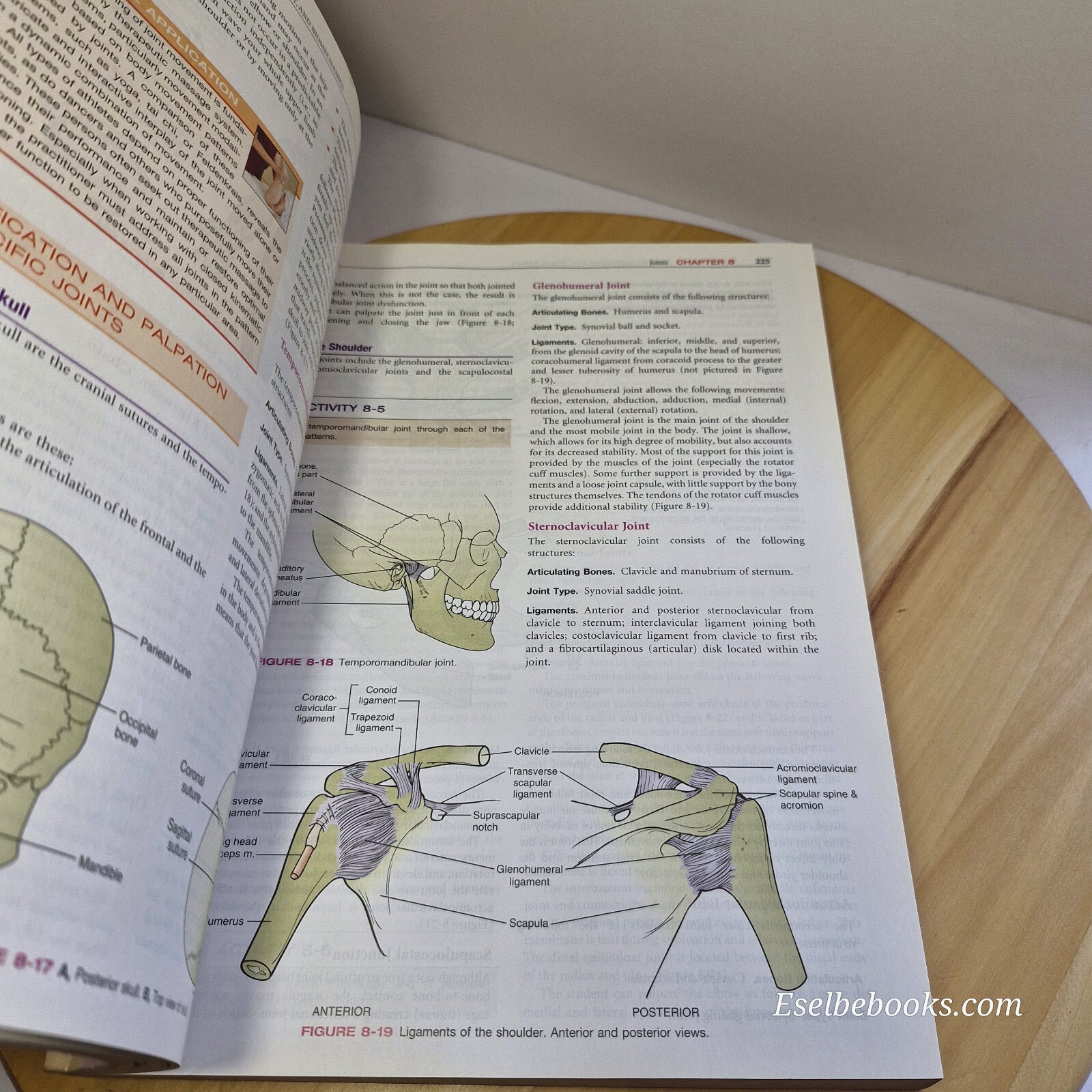 Mosby's Essential Sciences for Therapeutic Massage Anatomy, Physiology, Biome...