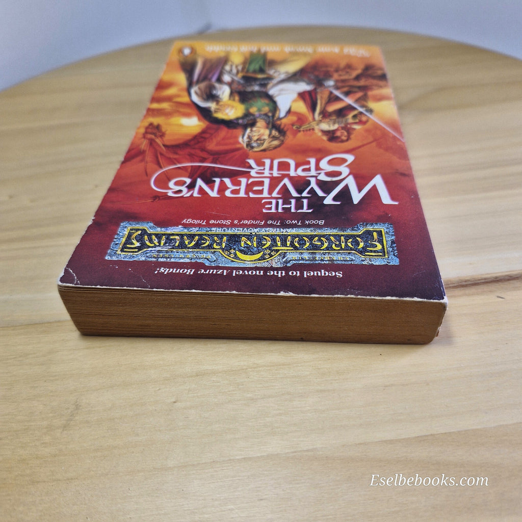The Wyvern's Spur Finder's Stone Trilogy By Kate Novak - vintage paperback
