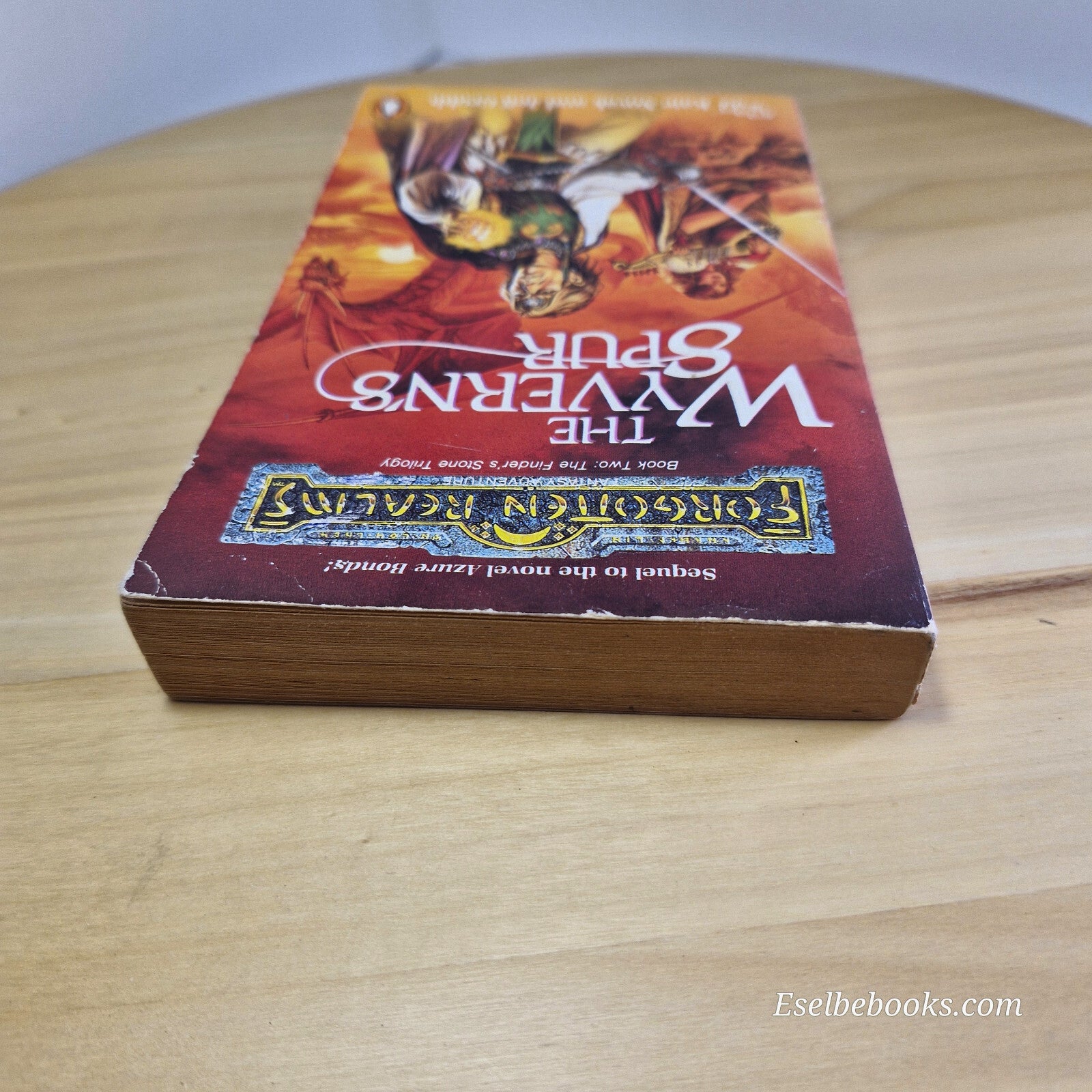 The Wyvern's Spur Finder's Stone Trilogy By Kate Novak - vintage paperback