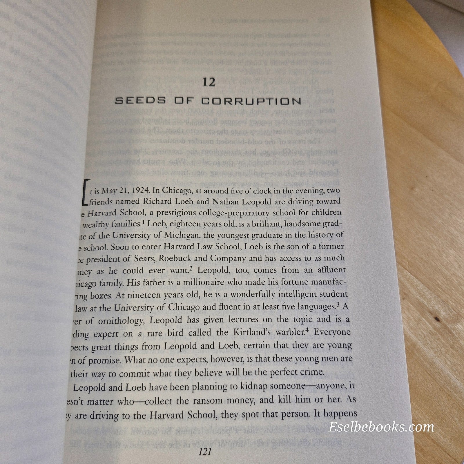 My Brain Made Me Do It by Eliezer J. Sternberg - paperback