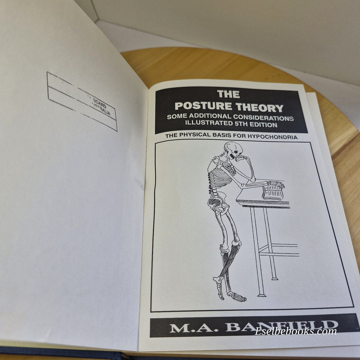 The Posture Theory Some Additional Considerations By M. A. Banfield · 1994 - ...