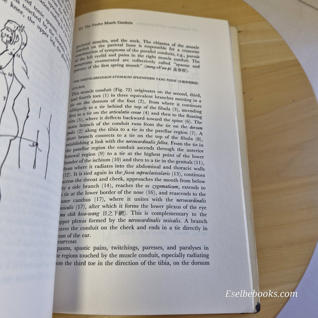 The Theoretical Foundations of Chinese Medicine : Systems of correspondence