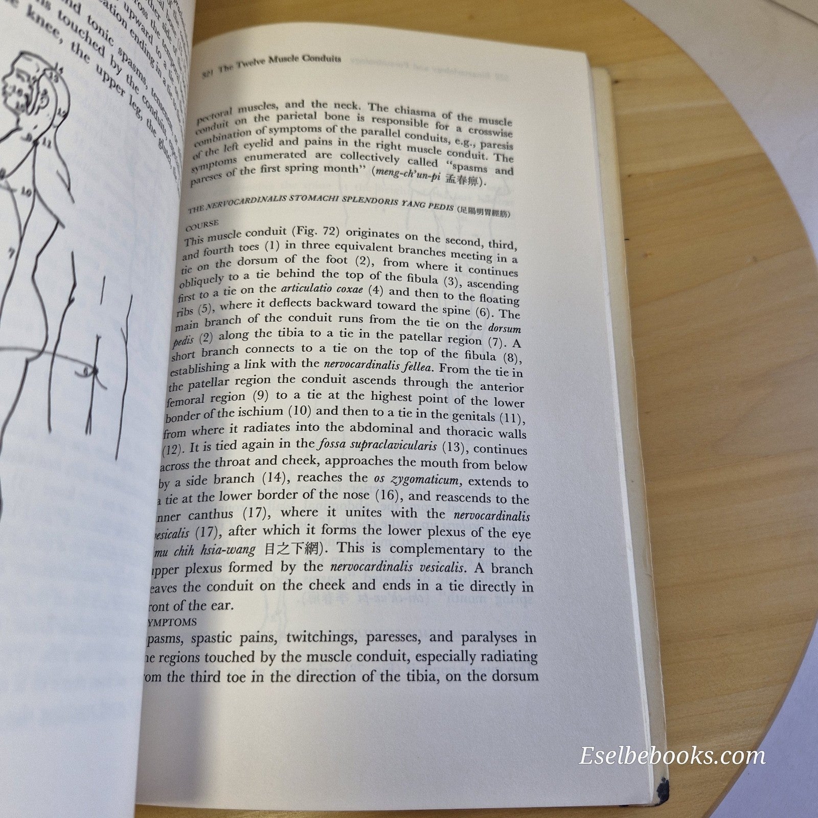 The Theoretical Foundations of Chinese Medicine : Systems of correspondence