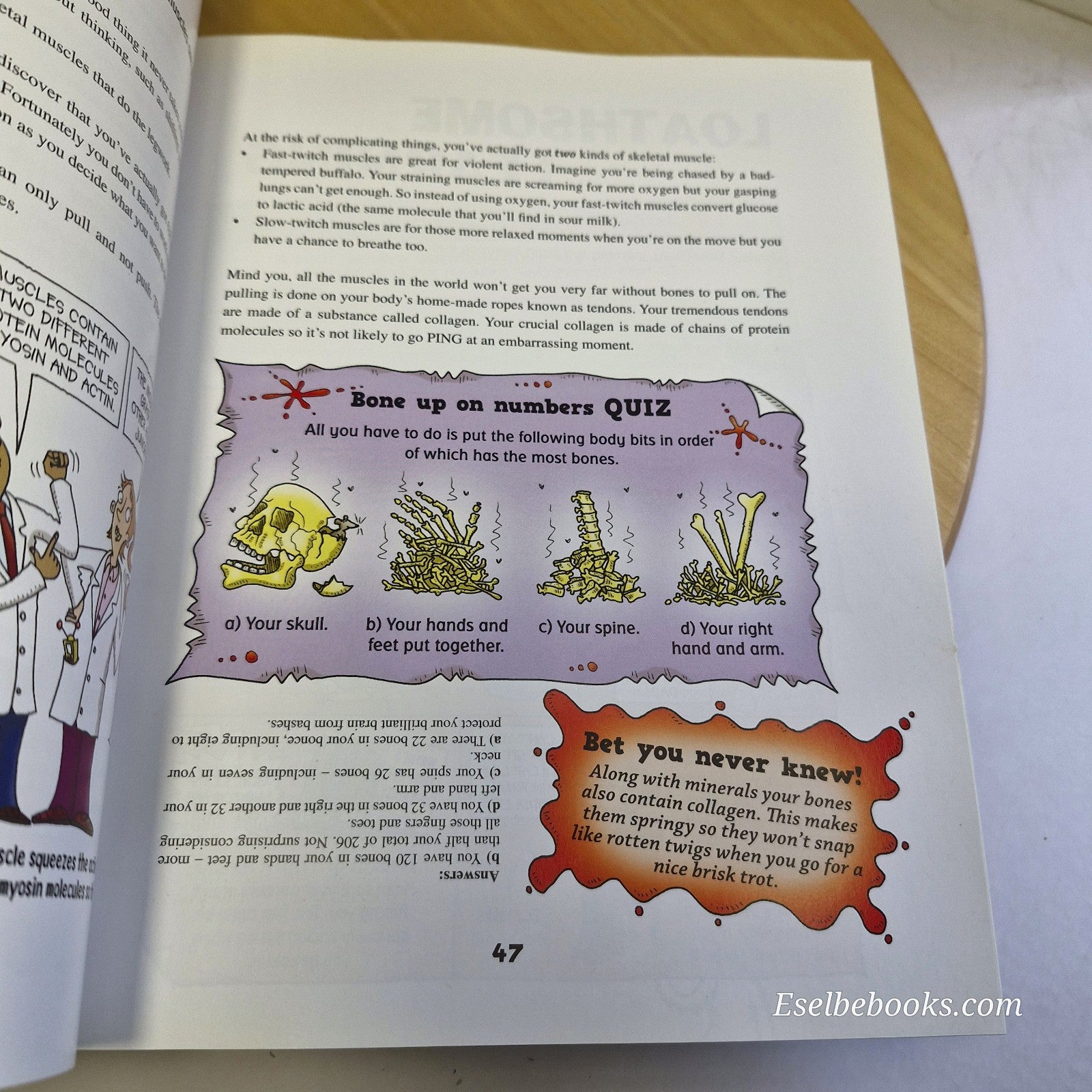 The Brain-Boggling Body Book (Horrible Science) By Arnold & De Saulles - PB