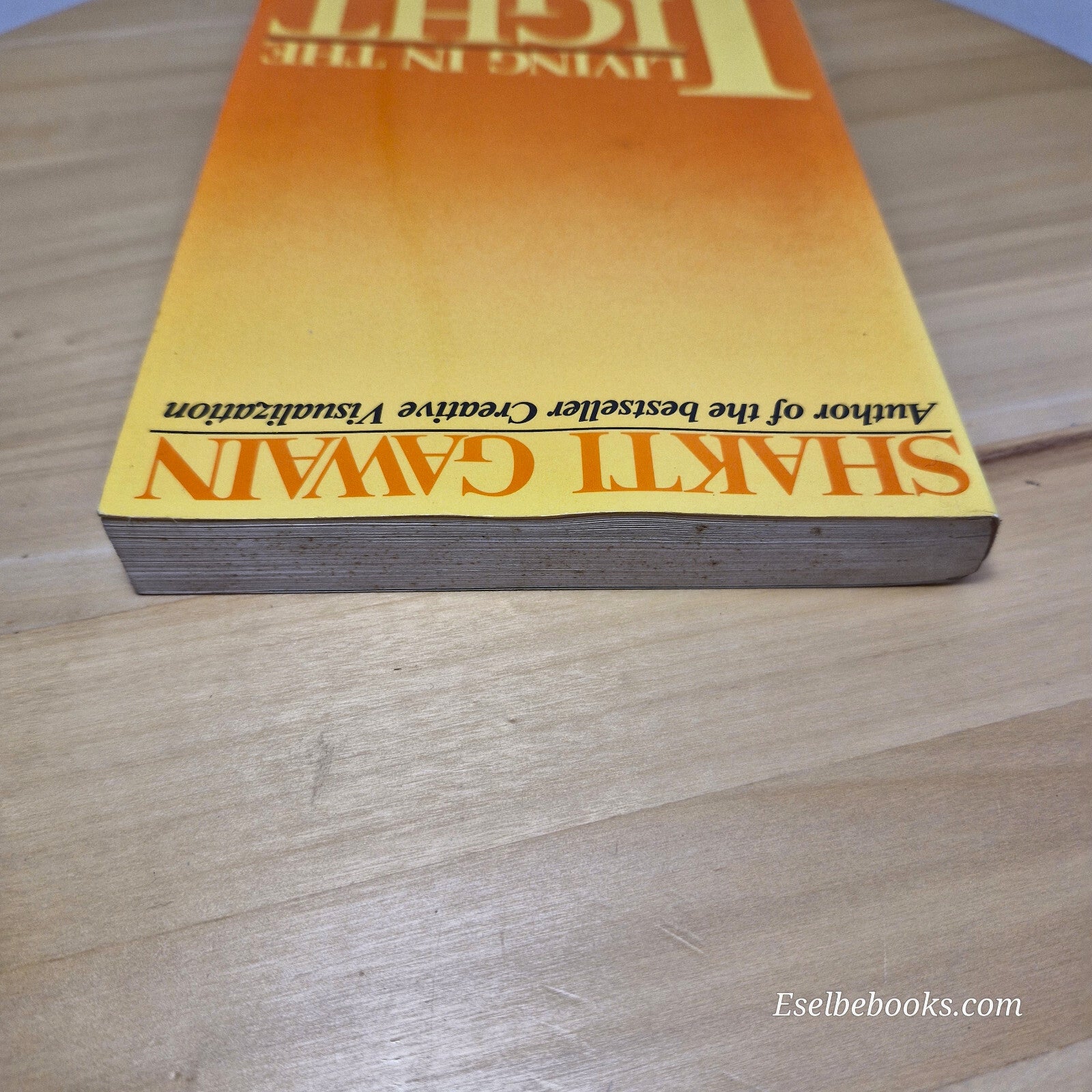 Living in the Light Follow Your Inner Guidance to Create a New Life and a New...