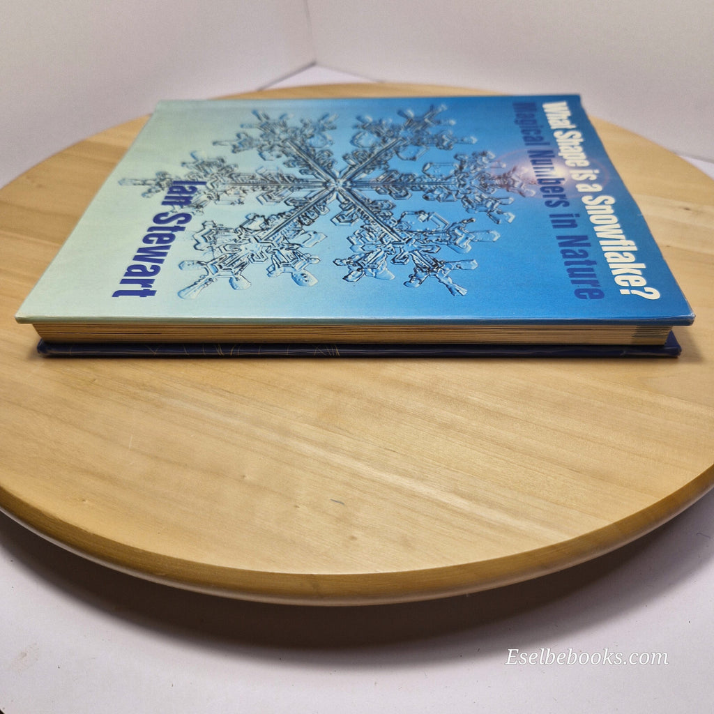 What shape is a snowflake? Magical numbers in nature by Ian Stewart - hardback