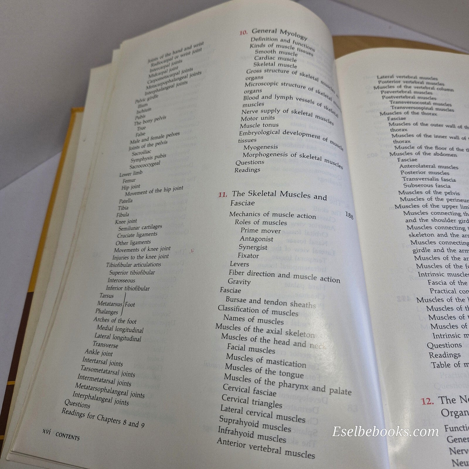 Textbook: Functional Human Anatomy By James Ensign Crouch 3rd edition - hardback