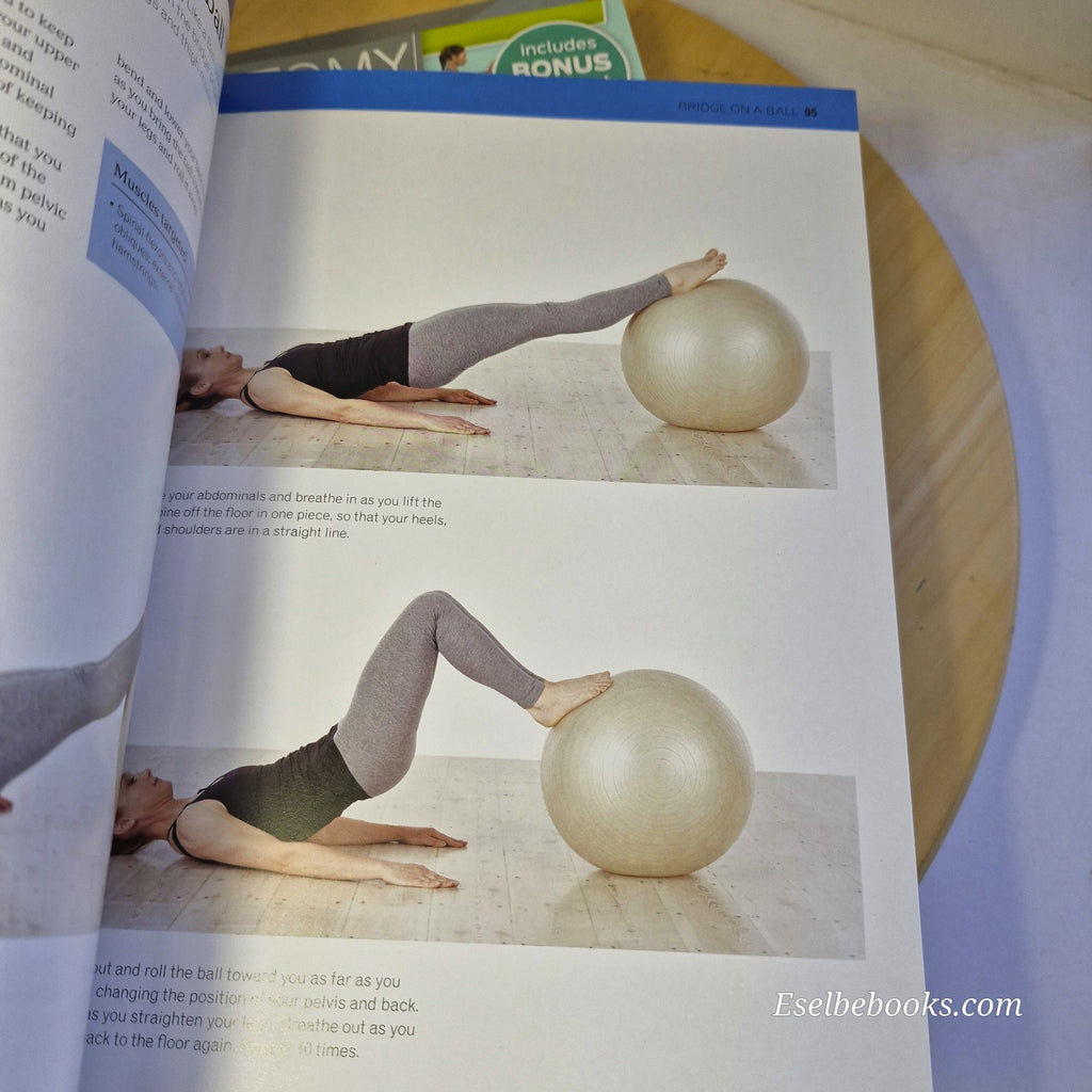 The Complete Pilates Tutor: A Structured Course by Alan Herdman - paperback