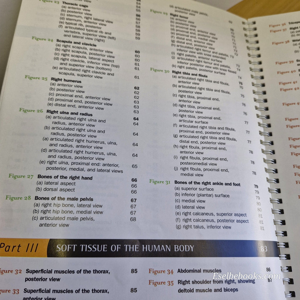A Brief Atlas of the Human Body - Matt Hutchinson Second Edition Spiral Textbook