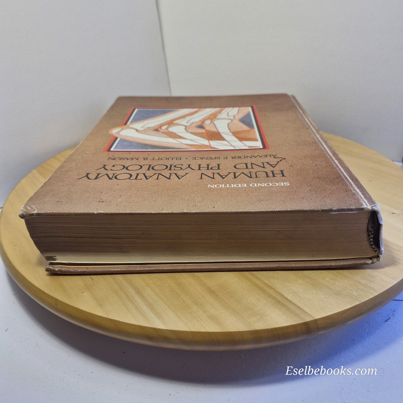 Human Anatomy and Physiology By Alexander P. Spence, Elliott B. Mason 2nd ed ...