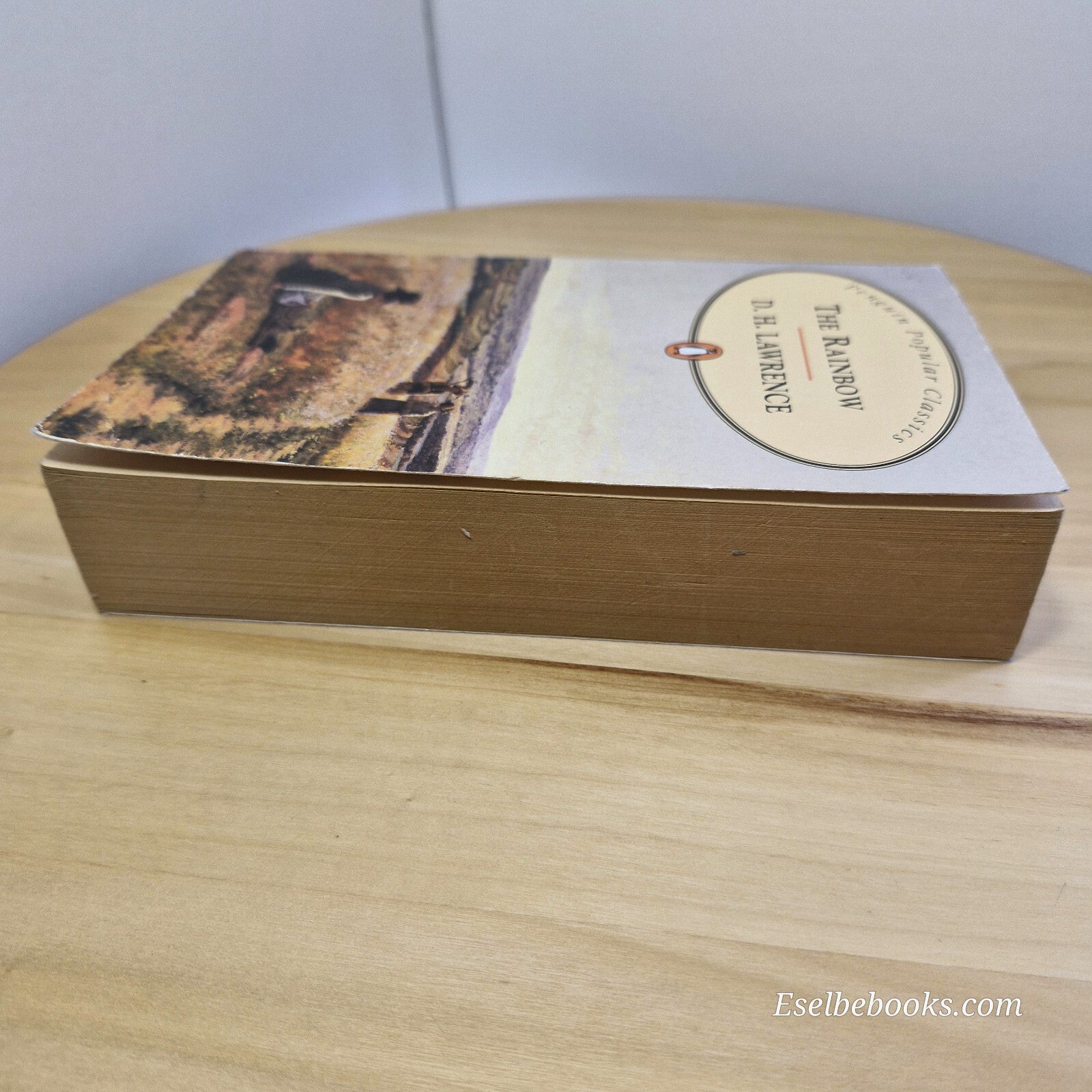 Classic literature: The Rainbow By David Herbert Lawrence · vintage paperback