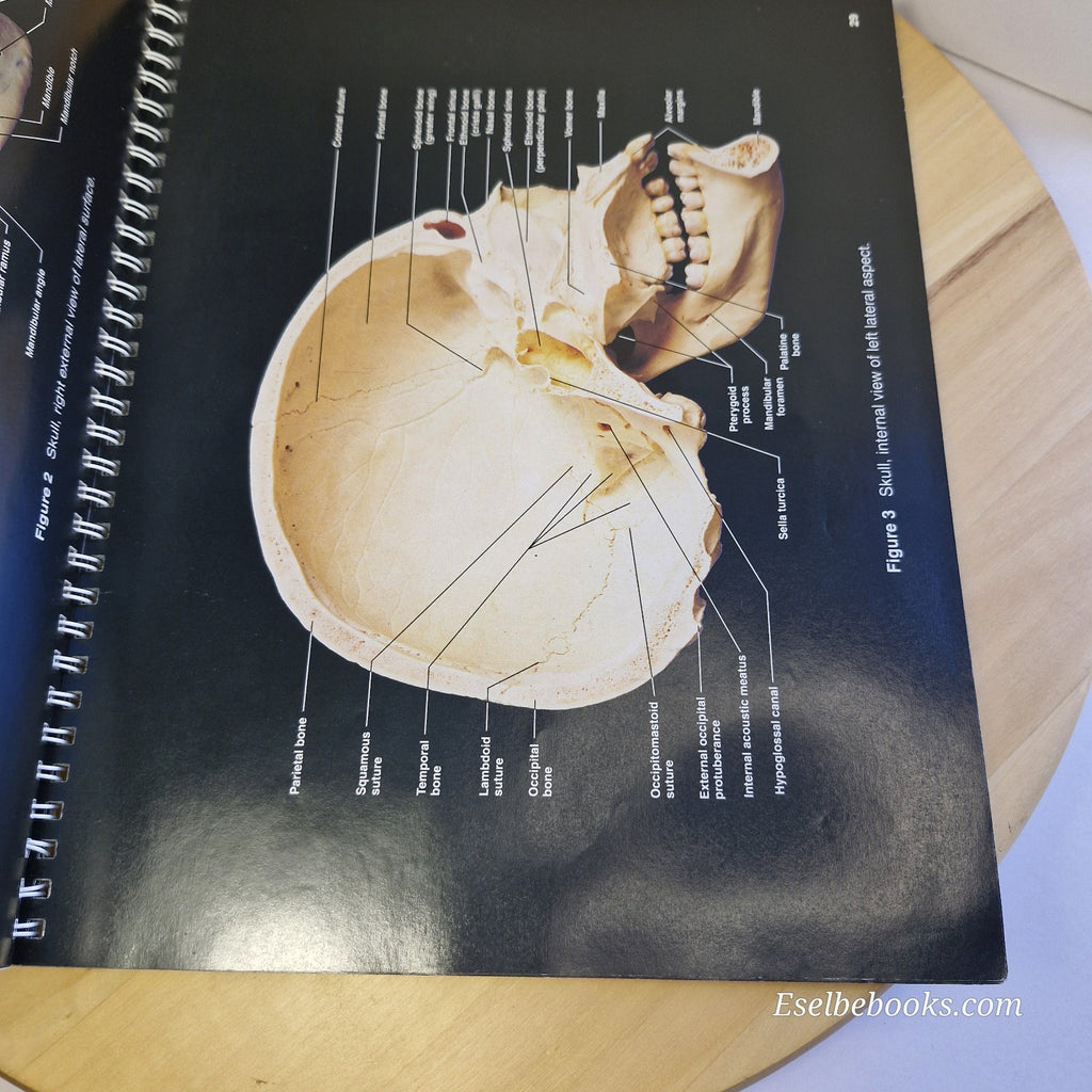 A Brief Atlas of the Human Body - Matt Hutchinson Second Edition Spiral Textbook