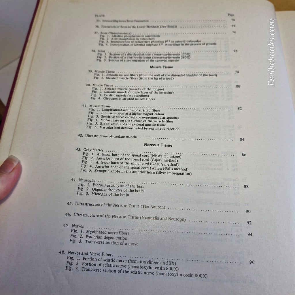 New Atlas of Histology Light Microscopy, Histochemistry and Electron Microscopy