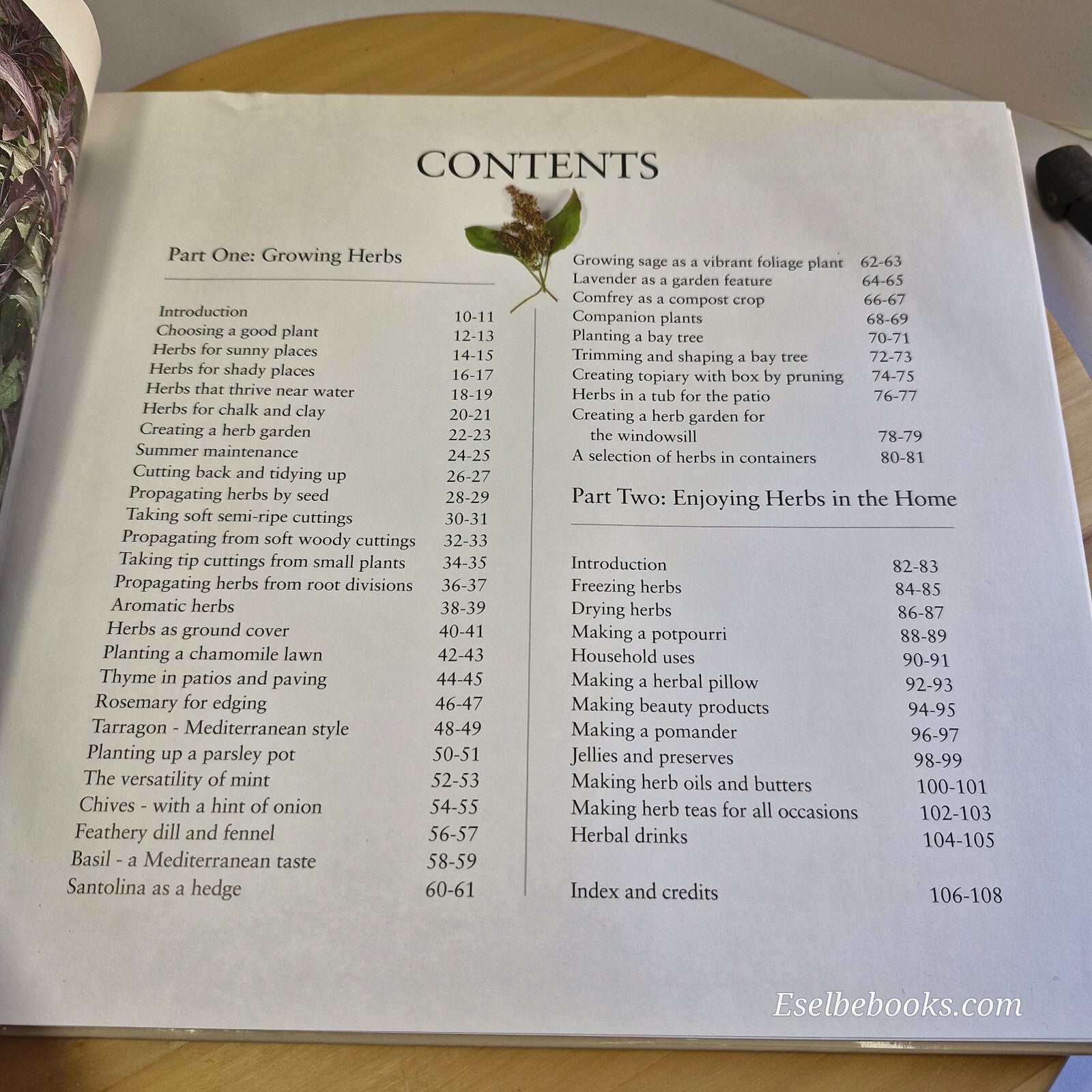 A Creative Step-by-step Guide to Growing Herbs By Yvonne Rees, Rosemary Titte...