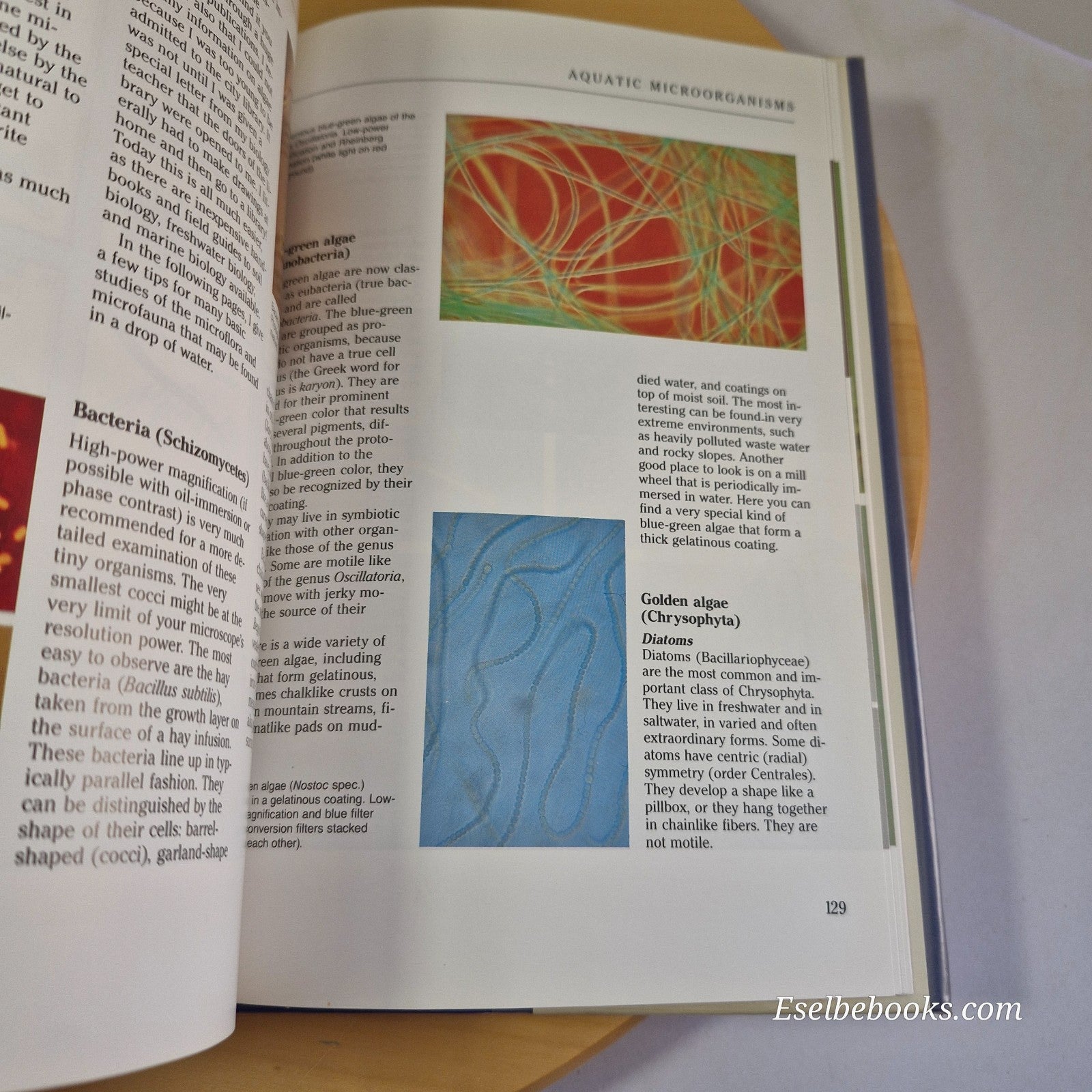 The use of the microscope by Gray & Exploring with the microscope by Nachtigall