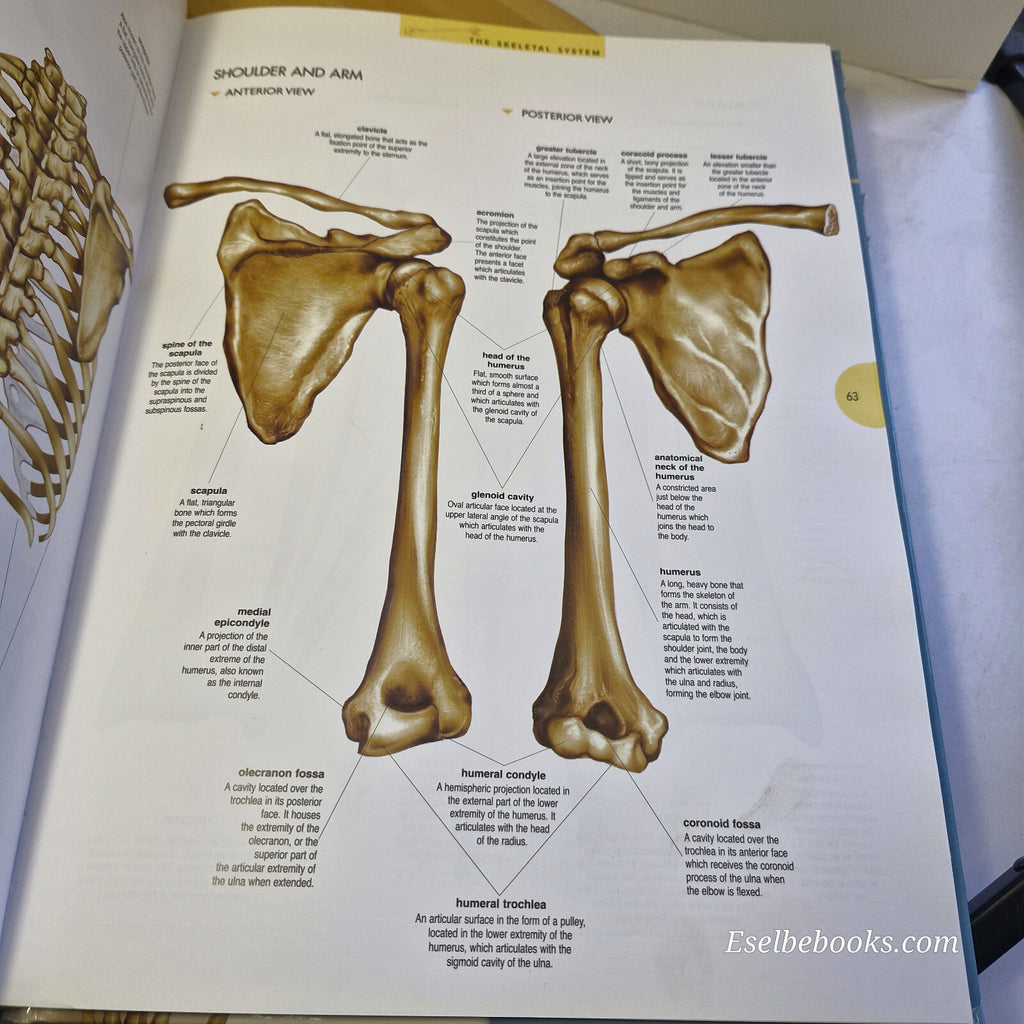 Atlas of the Human Body By Jordi Vigué, Emilio Martín Orte · 2009 - hardback