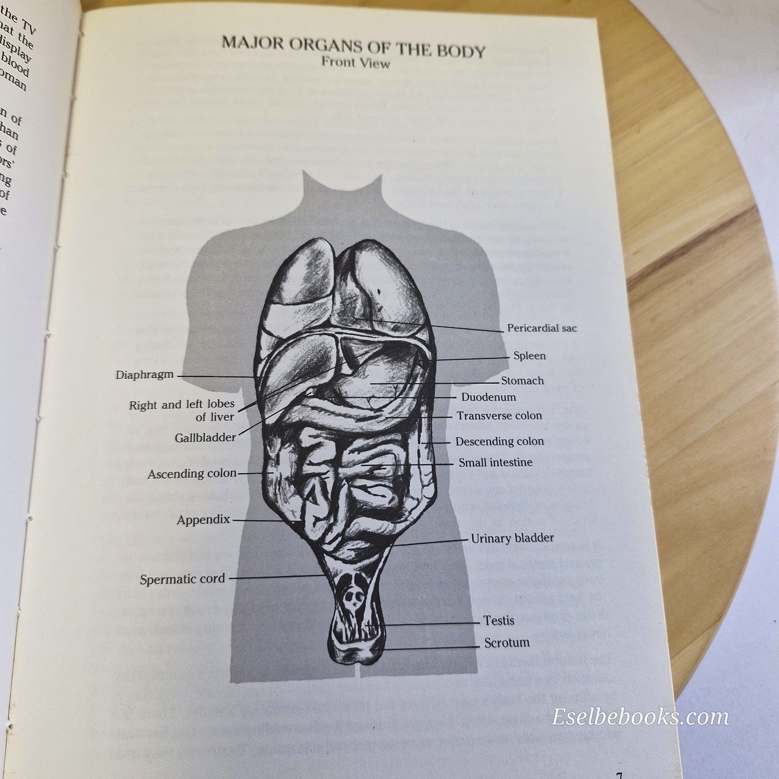 The Australian Family Guide To Natural Medical Remedies by Dr Bill Davison