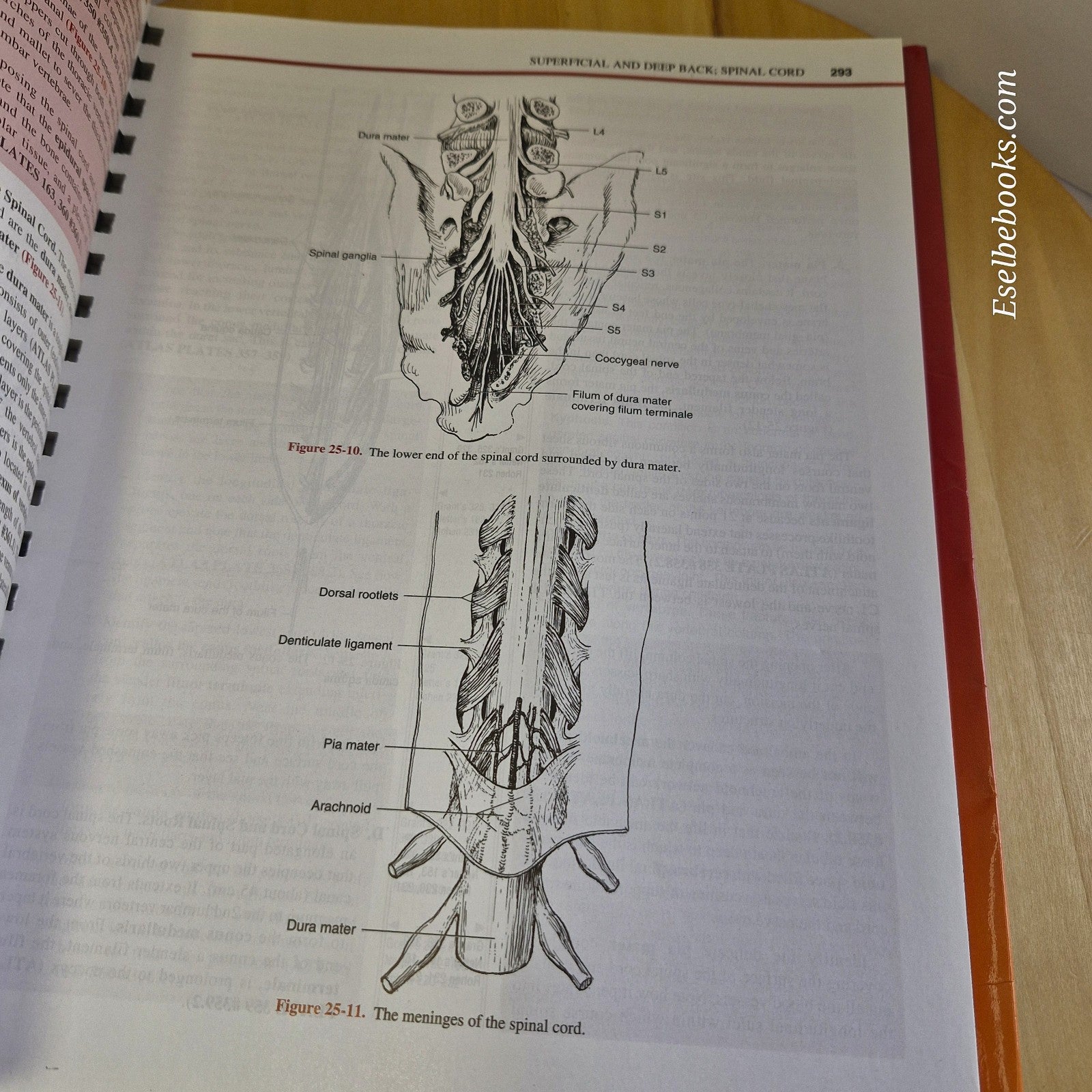 Clemente's Anatomy Dissector By Carmine D. Clemente 2nd ed