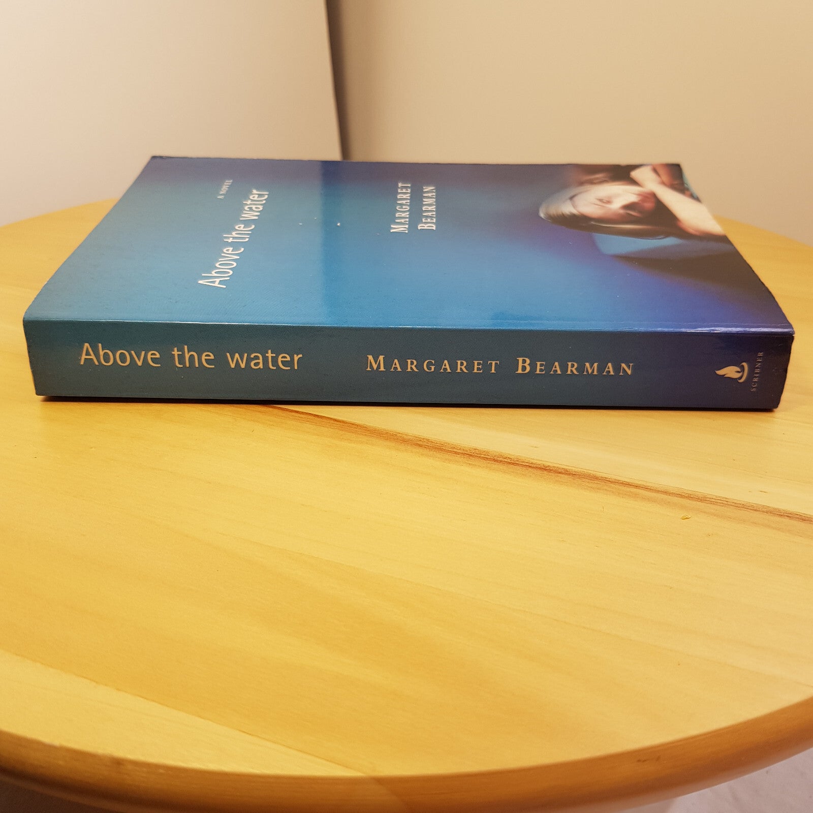 Australian fiction - Above the Water A Novel By Margaret Bearman · 2002 - pap...