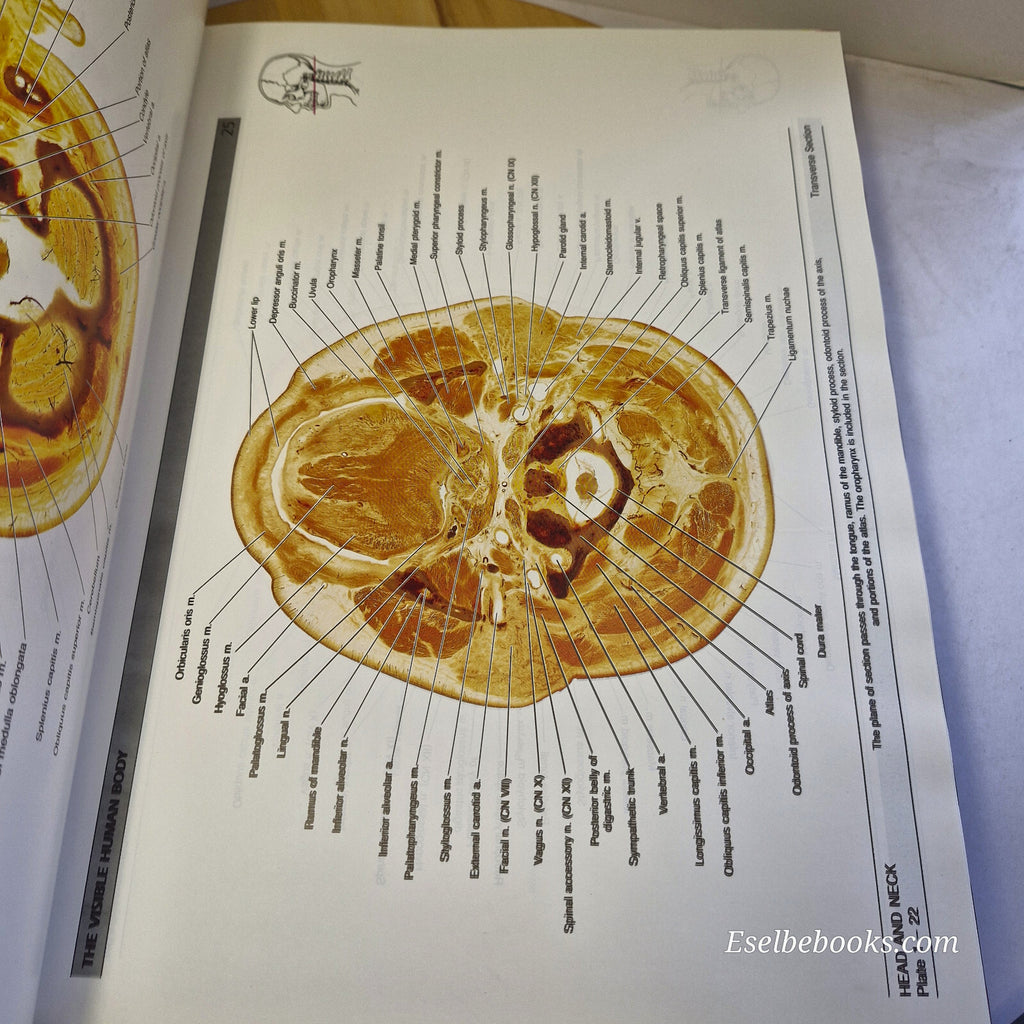 The Visible Human Body An Atlas of Sectional Anatomy By Gunther von Hagens · ...