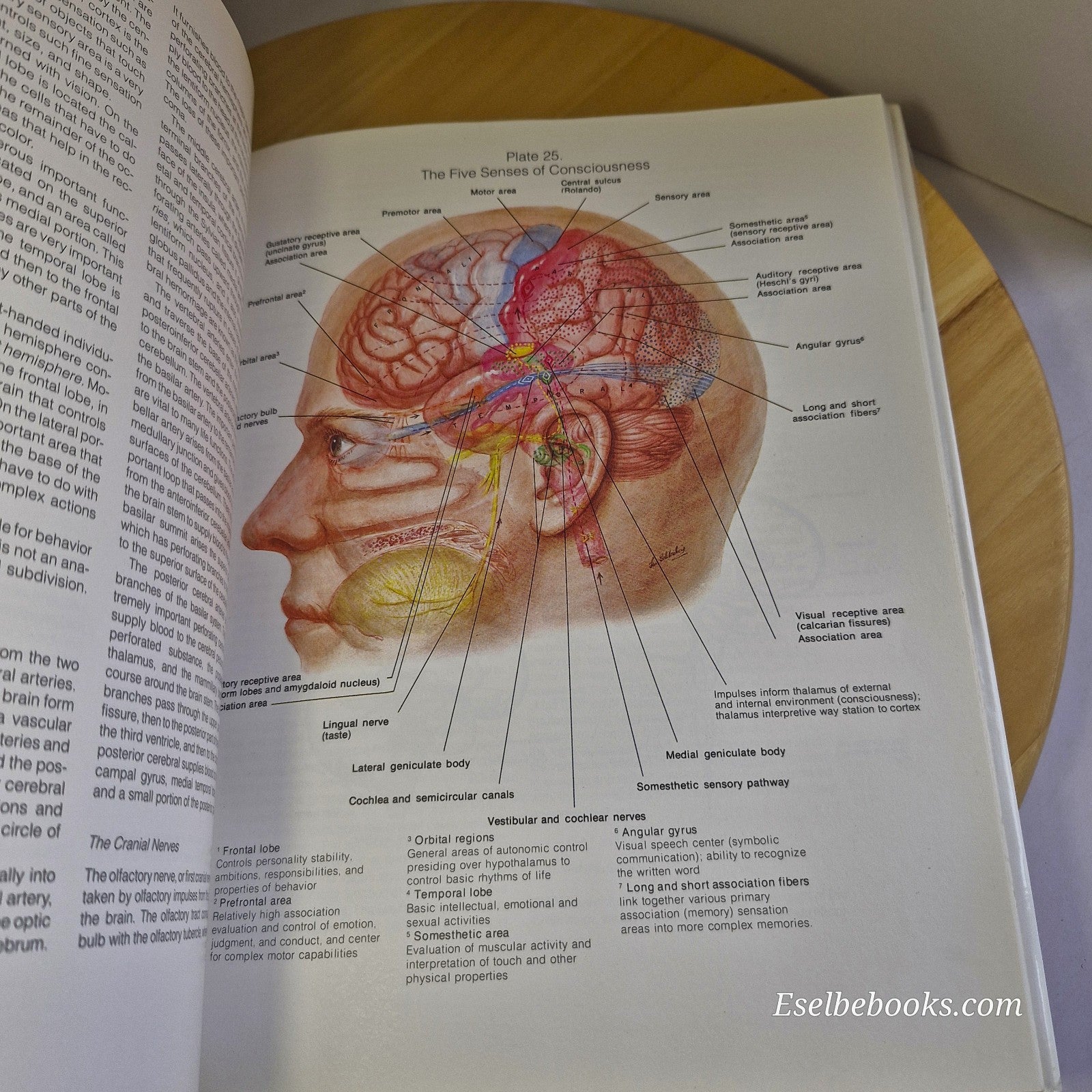 The Johns Hopkins Atlas of Human Functional Anatomy by Leon Schlossberg 4th ed