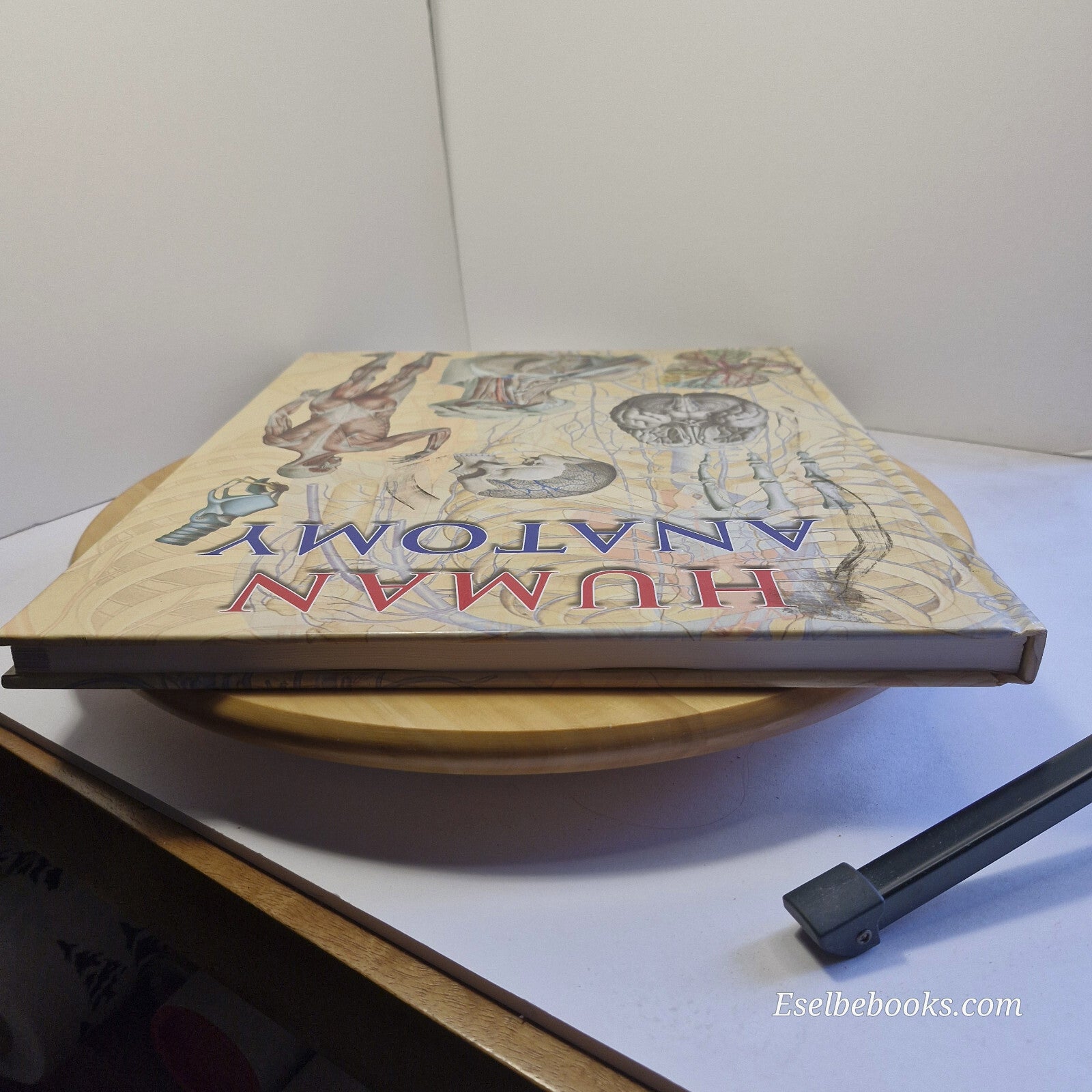 Human Anatomy By Giovanni Iazzetti · 2006 - large hardback