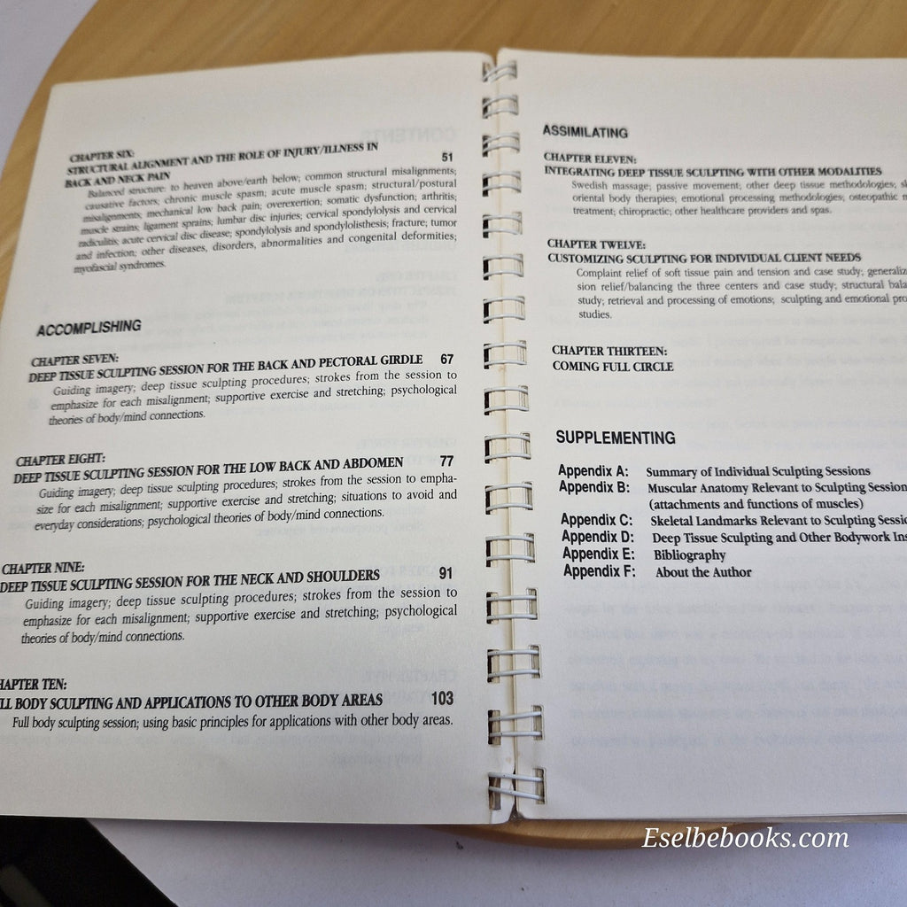 Deep Tissue Sculpting A Technical and Artistic Manual for Therapeutic Bodywork