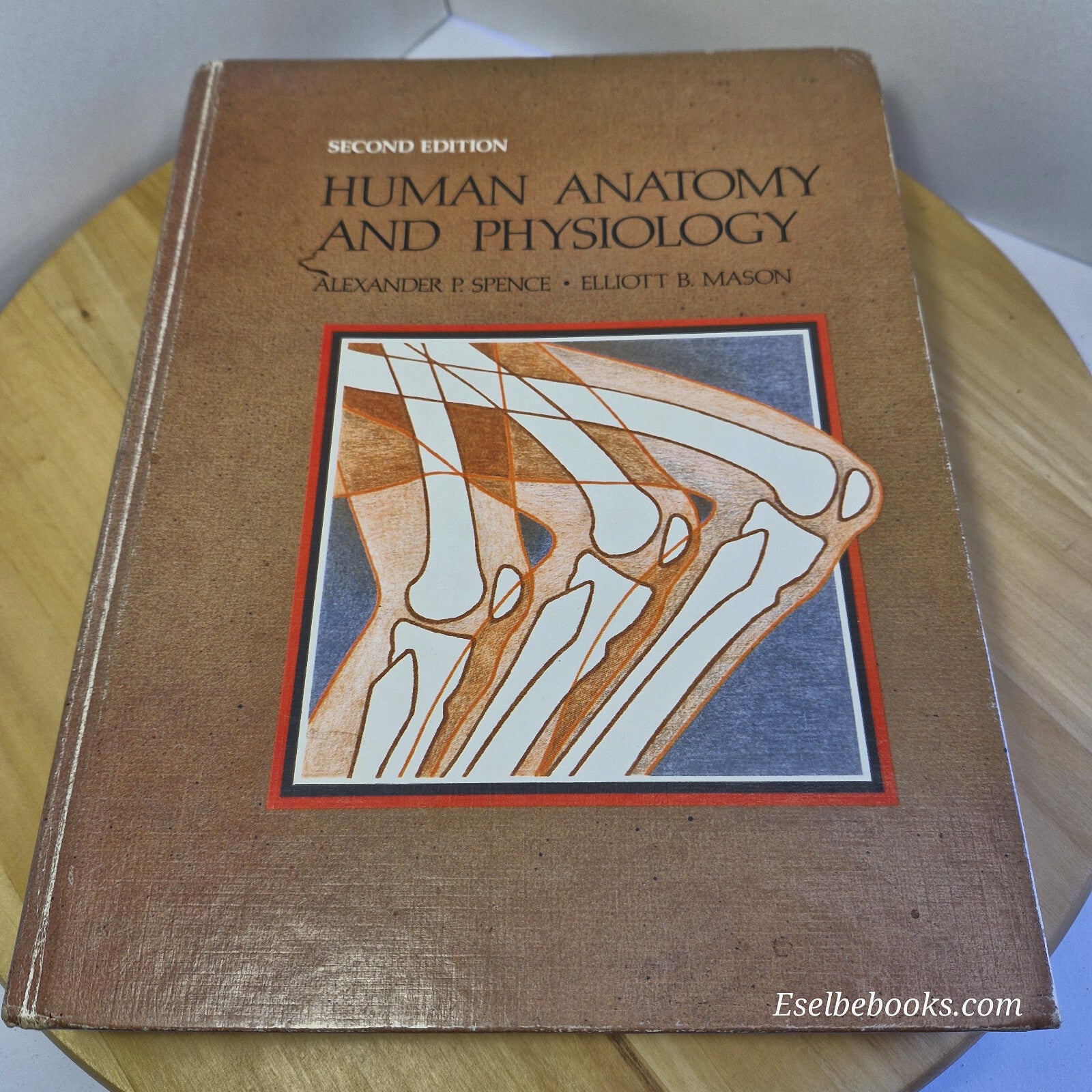 Human Anatomy and Physiology By Alexander P. Spence, Elliott B. Mason 2nd ed ...