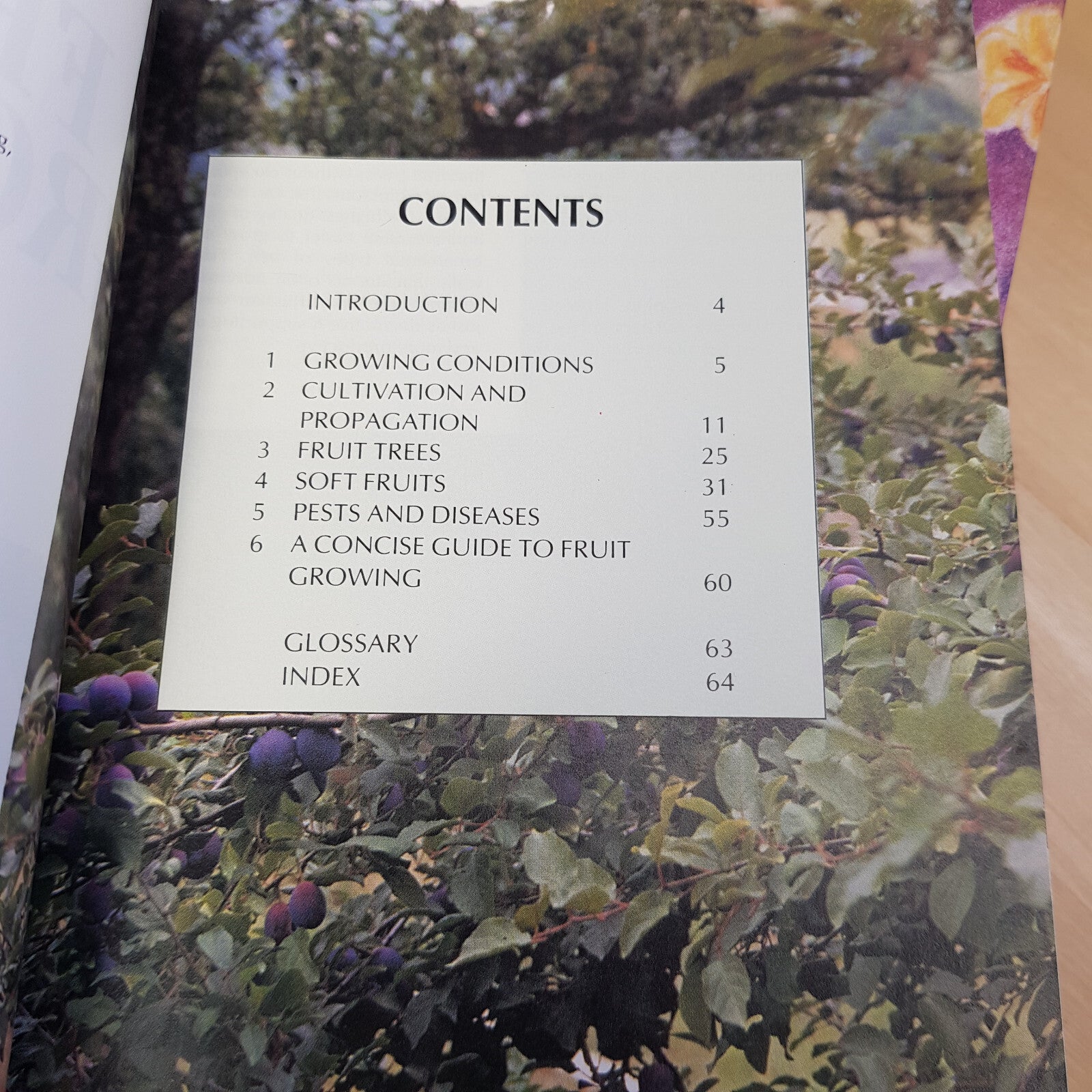 The garden guru II - Practical Fruit Growing - A gardener's companion - paper...