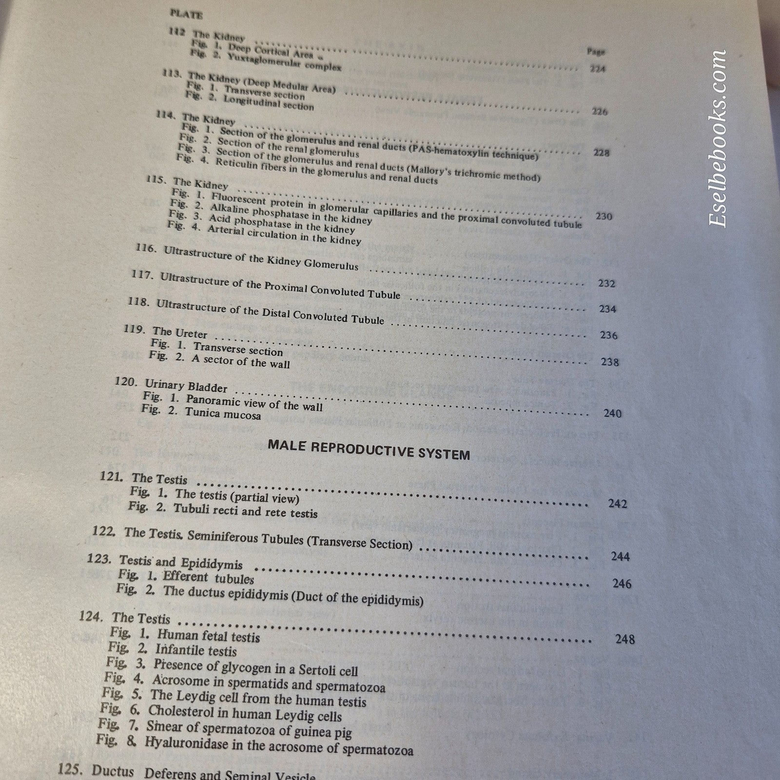 New Atlas of Histology Light Microscopy, Histochemistry and Electron Microscopy