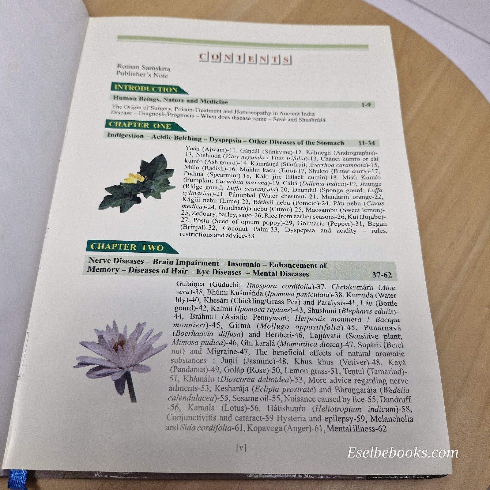 Natural Medicine By Ānandamūrti, Manjusha Gangopadhya · 2011 - hardback