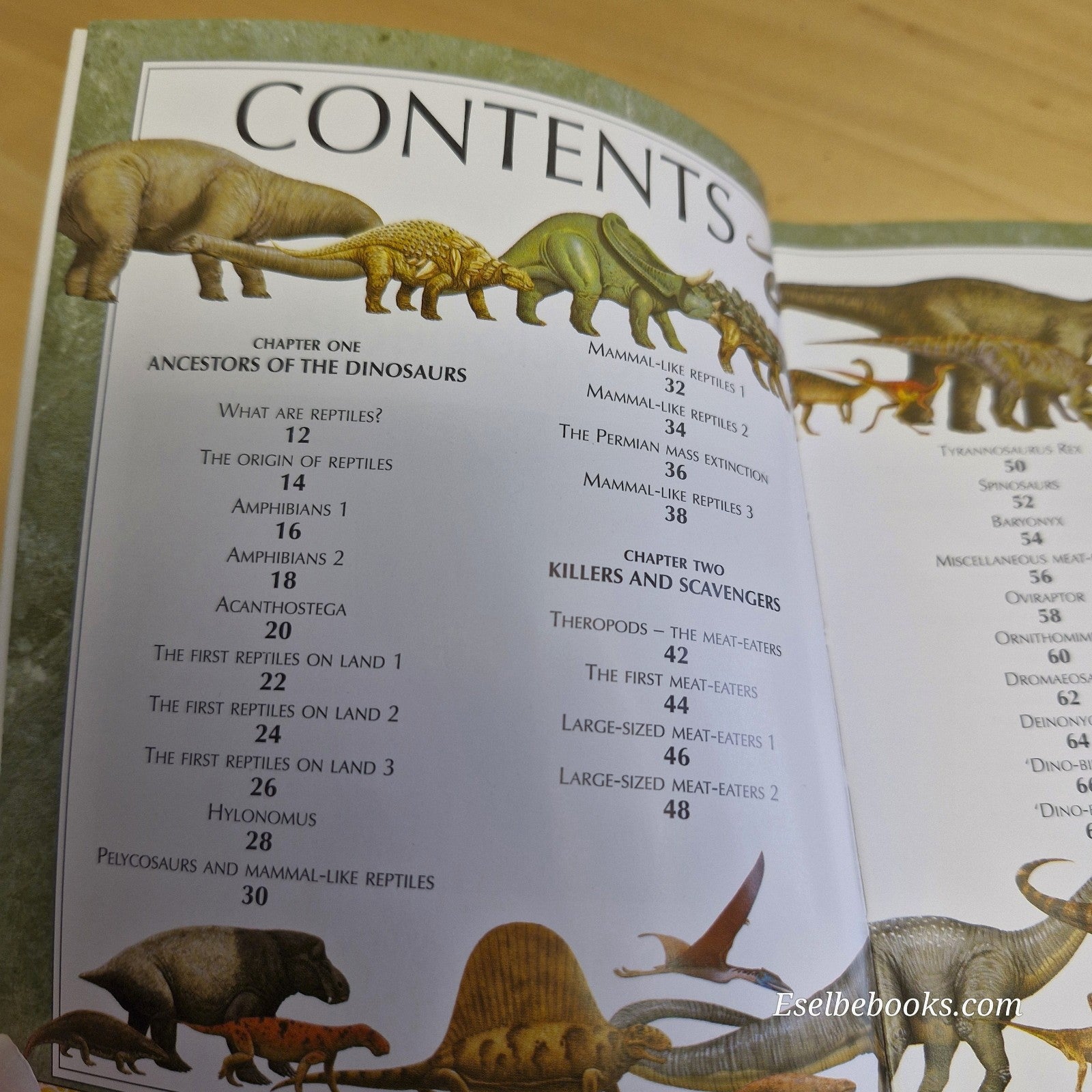 Mini Children's Reference: Encyclopedia of dinosaurs - hardback