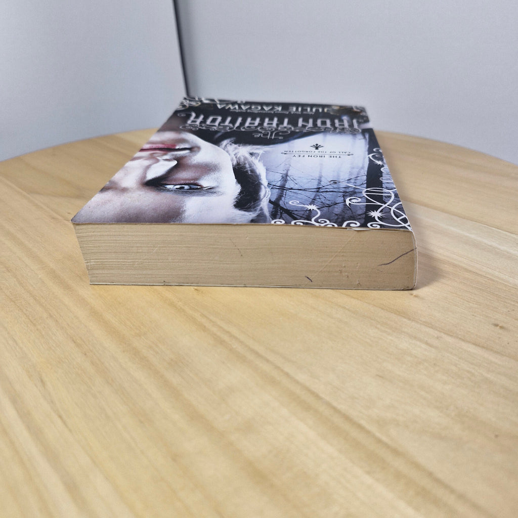 Fantasy fiction: The Iron Traitor By Julie Kagawa · 2013 - paperback