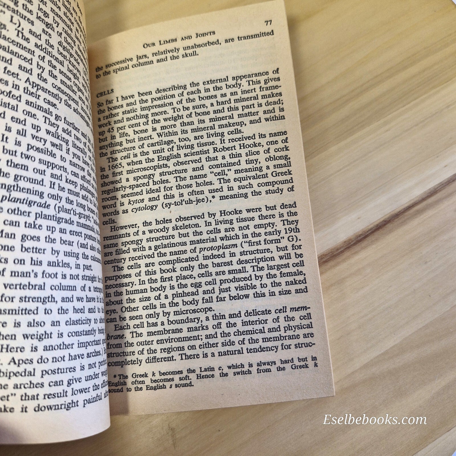 The Human Body Its Structure and Operations By Isaac Asimov, Anthony Ravielli...