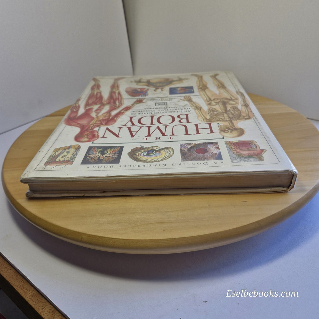 Illustrated Guide to the Human Body by DK Publishing Staff - large hardback