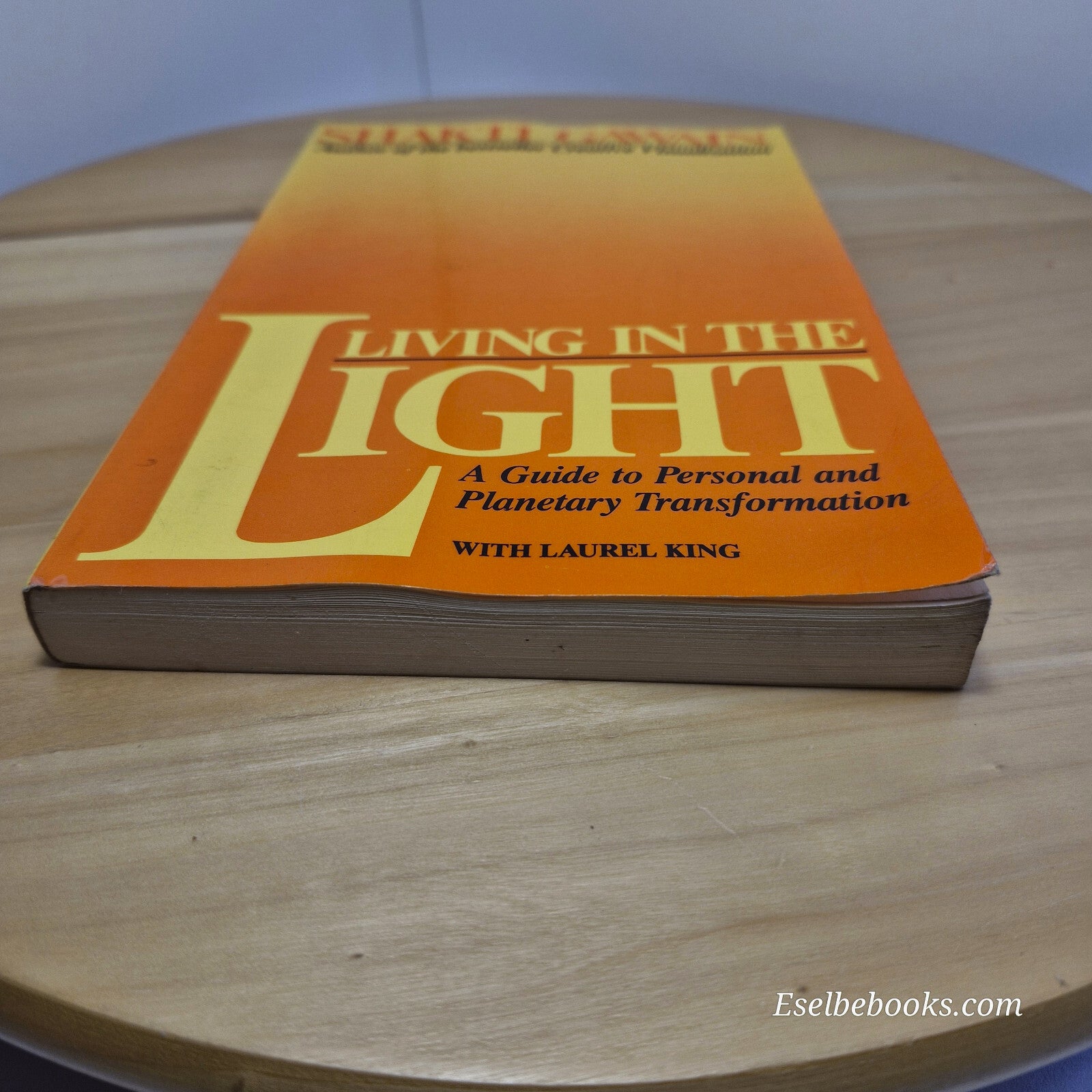Living in the Light Follow Your Inner Guidance to Create a New Life and a New...