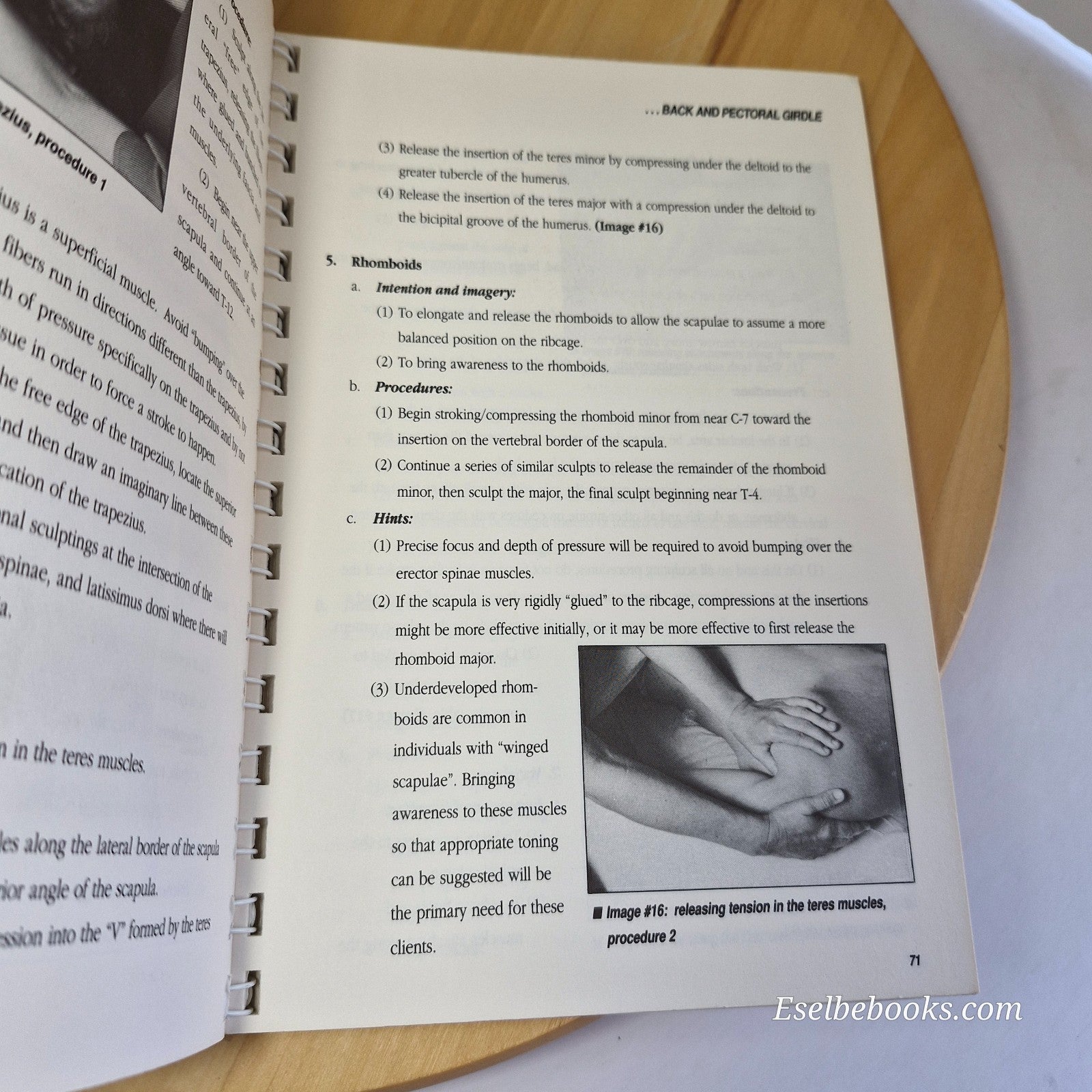 Deep Tissue Sculpting A Technical and Artistic Manual for Therapeutic Bodywork