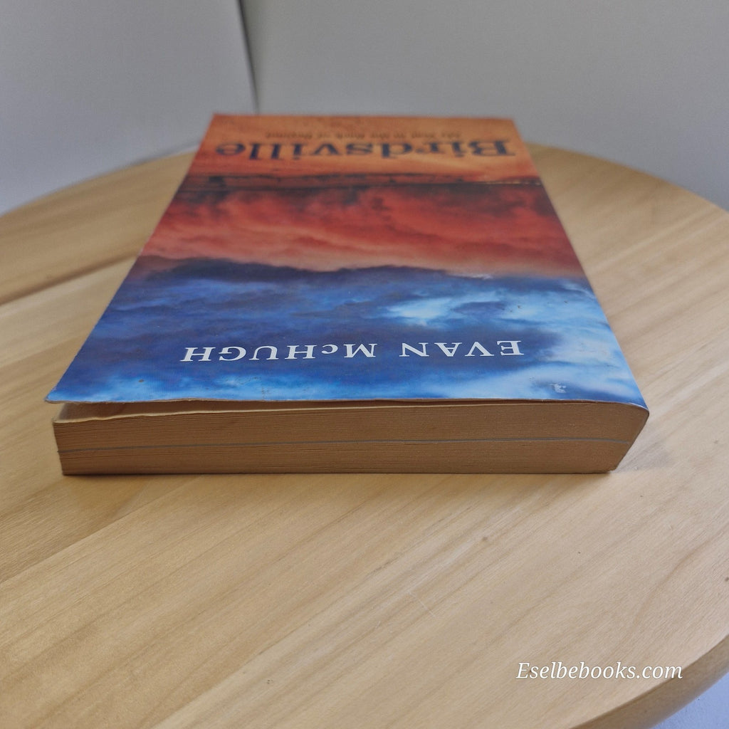 Birdsville by Evan McHugh - Paperback : My Year in the Back of Beyond