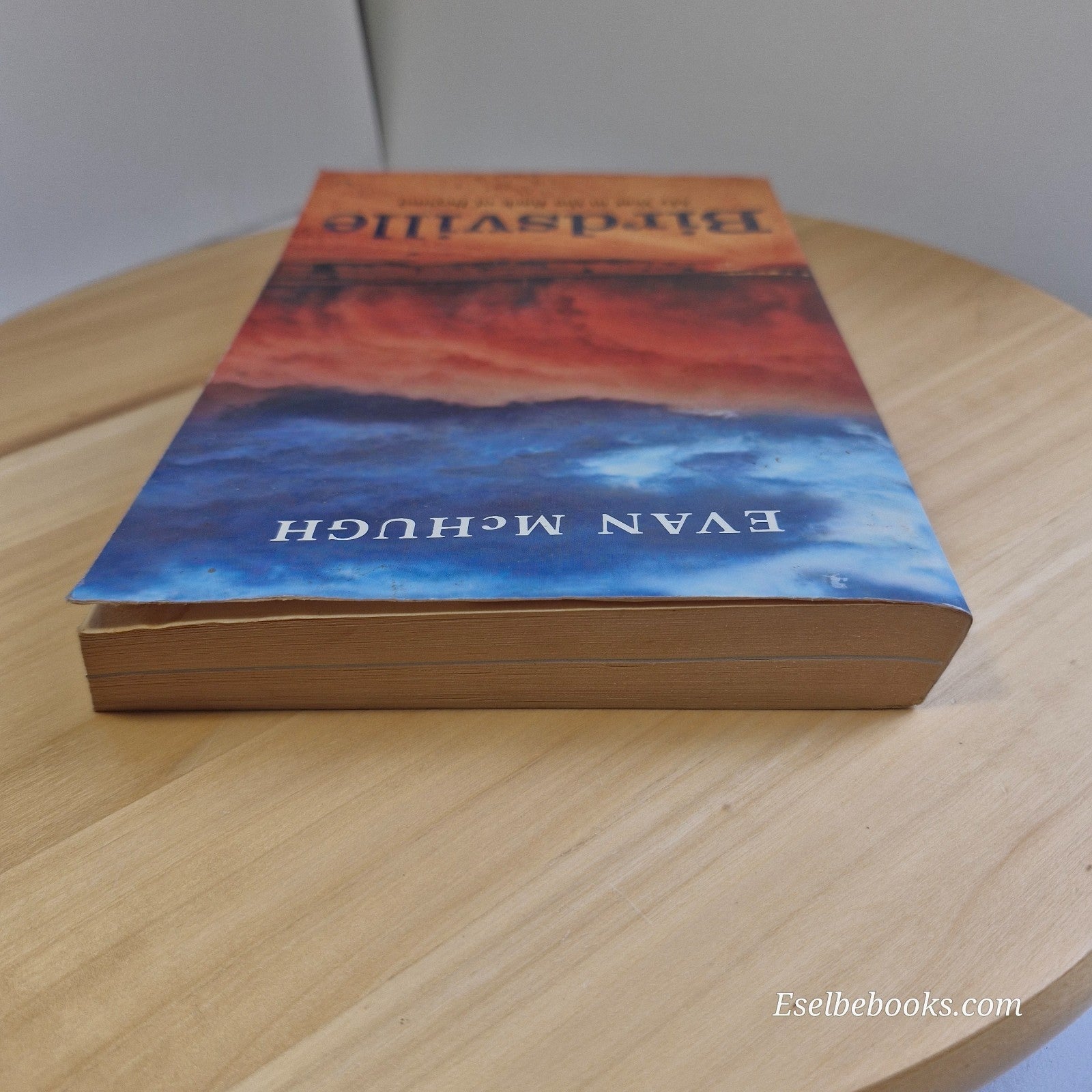 Birdsville by Evan McHugh - Paperback : My Year in the Back of Beyond